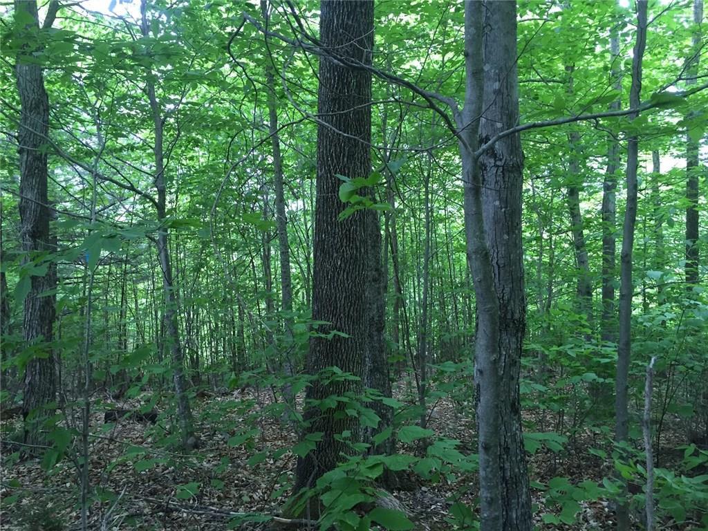 0 Richardson Hollow & Young Hill Road, Greenwood, ME, 04255