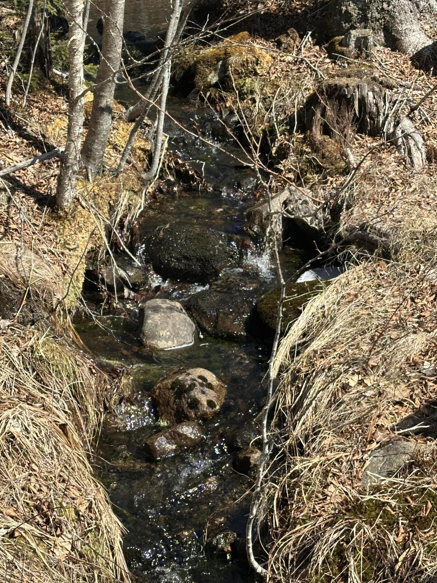 Lot UNIT&nbsp;0 Morgan Bay Road, Surry, ME, 04684