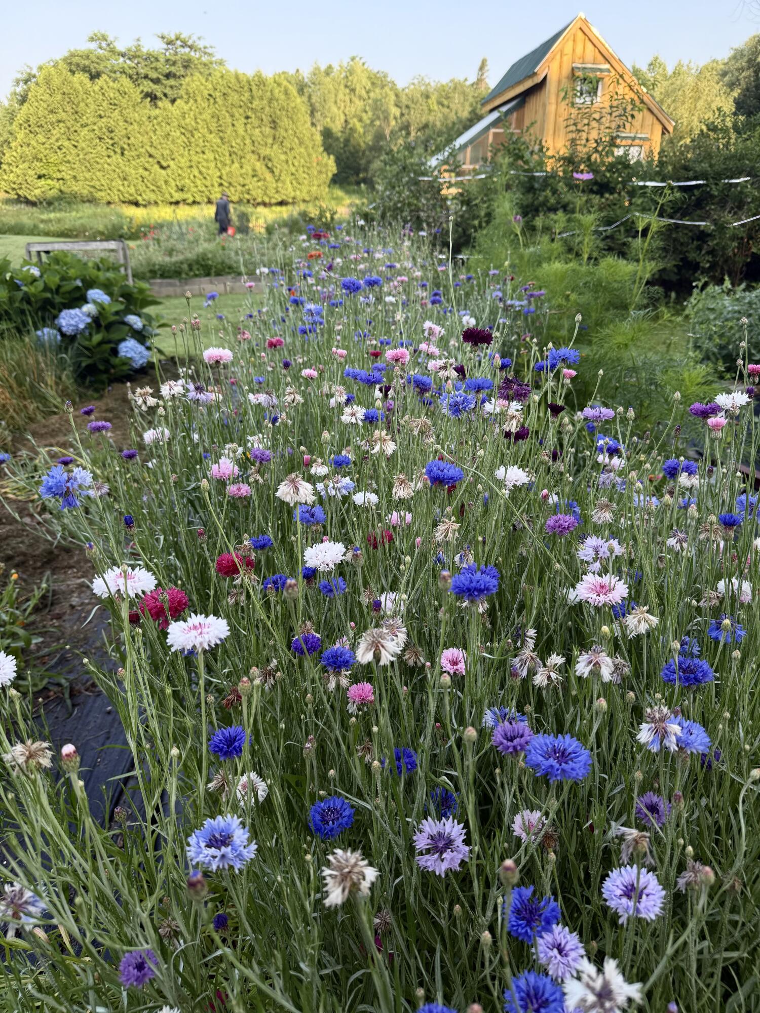 163 Ayer Ridge Road, Freedom, ME, 04941