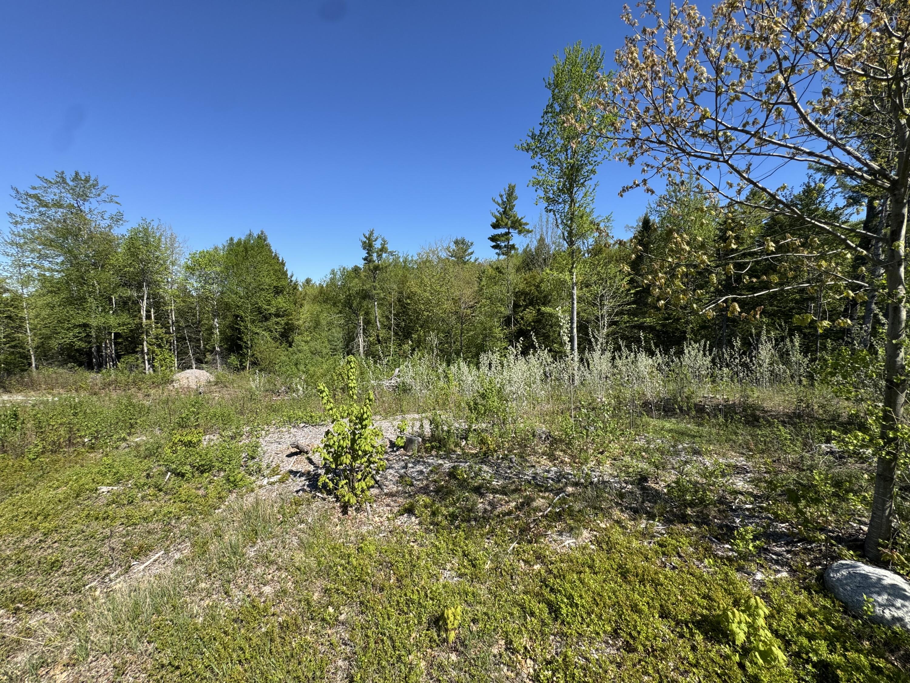 property-listing-images