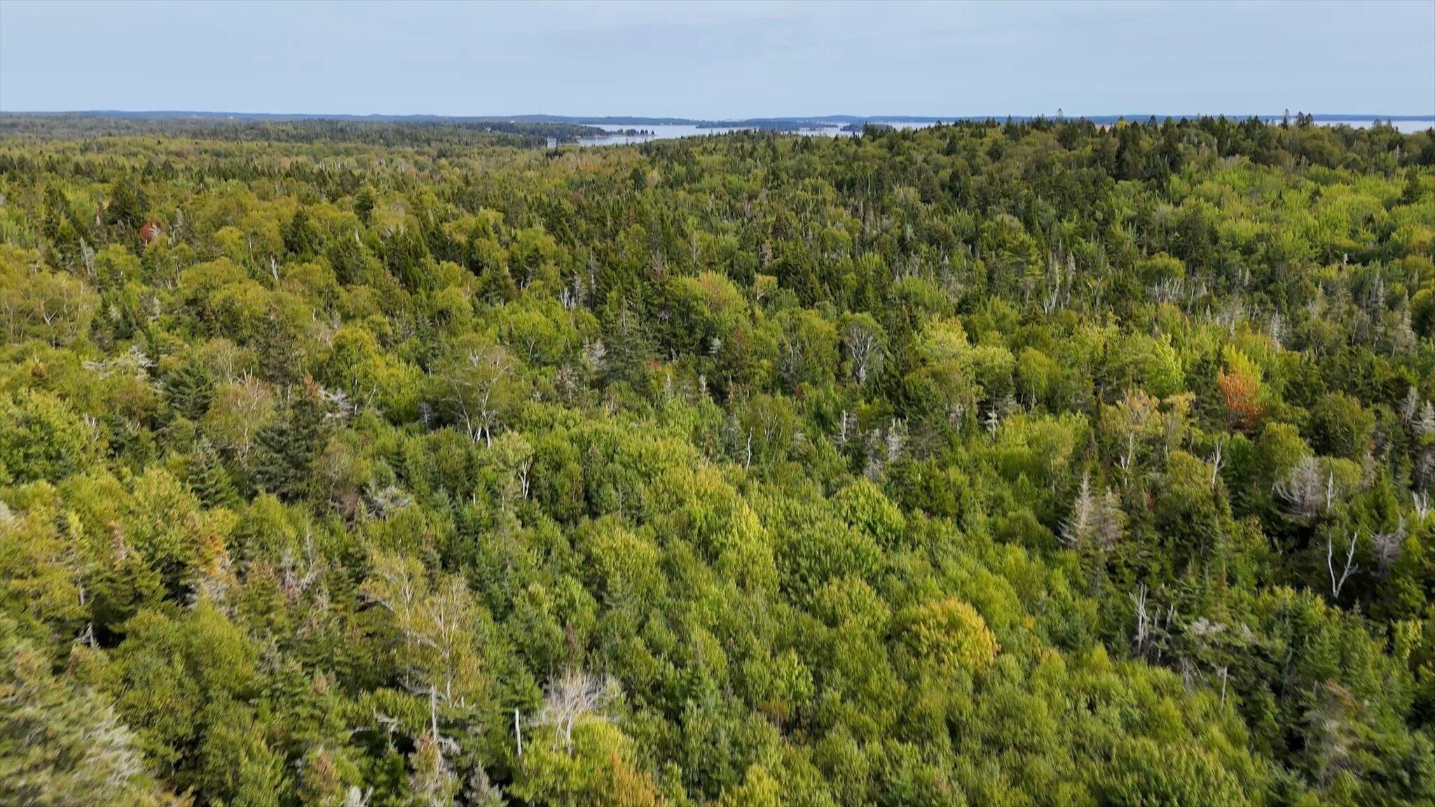 M20L2 East Side Road, Addison, ME, 04606