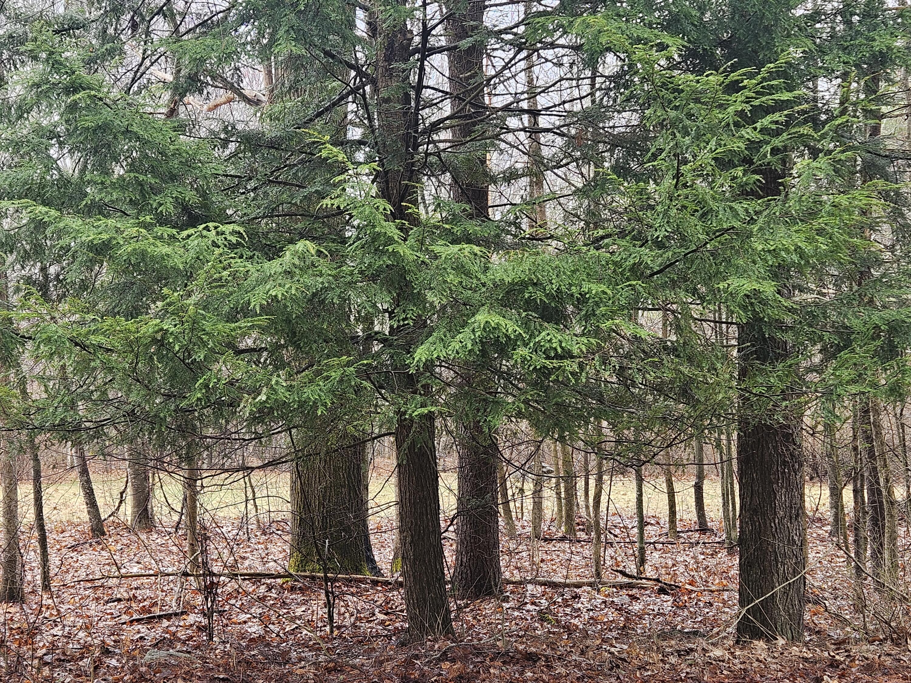 9 Mudget Hill Road, Vassalboro, ME, 04989