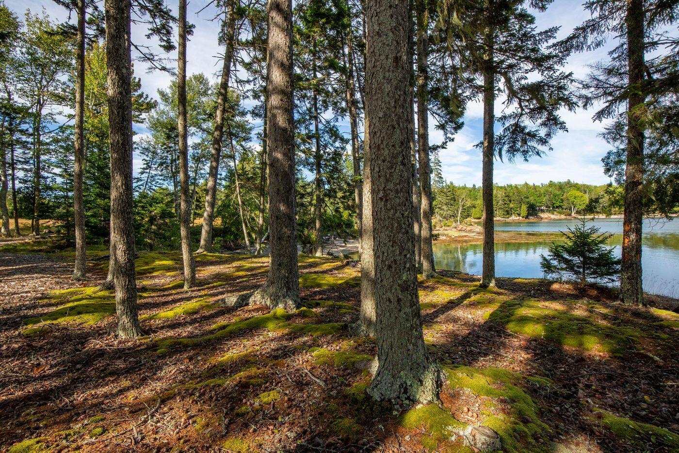 230 Keller Point Road, Islesboro, ME, 04848