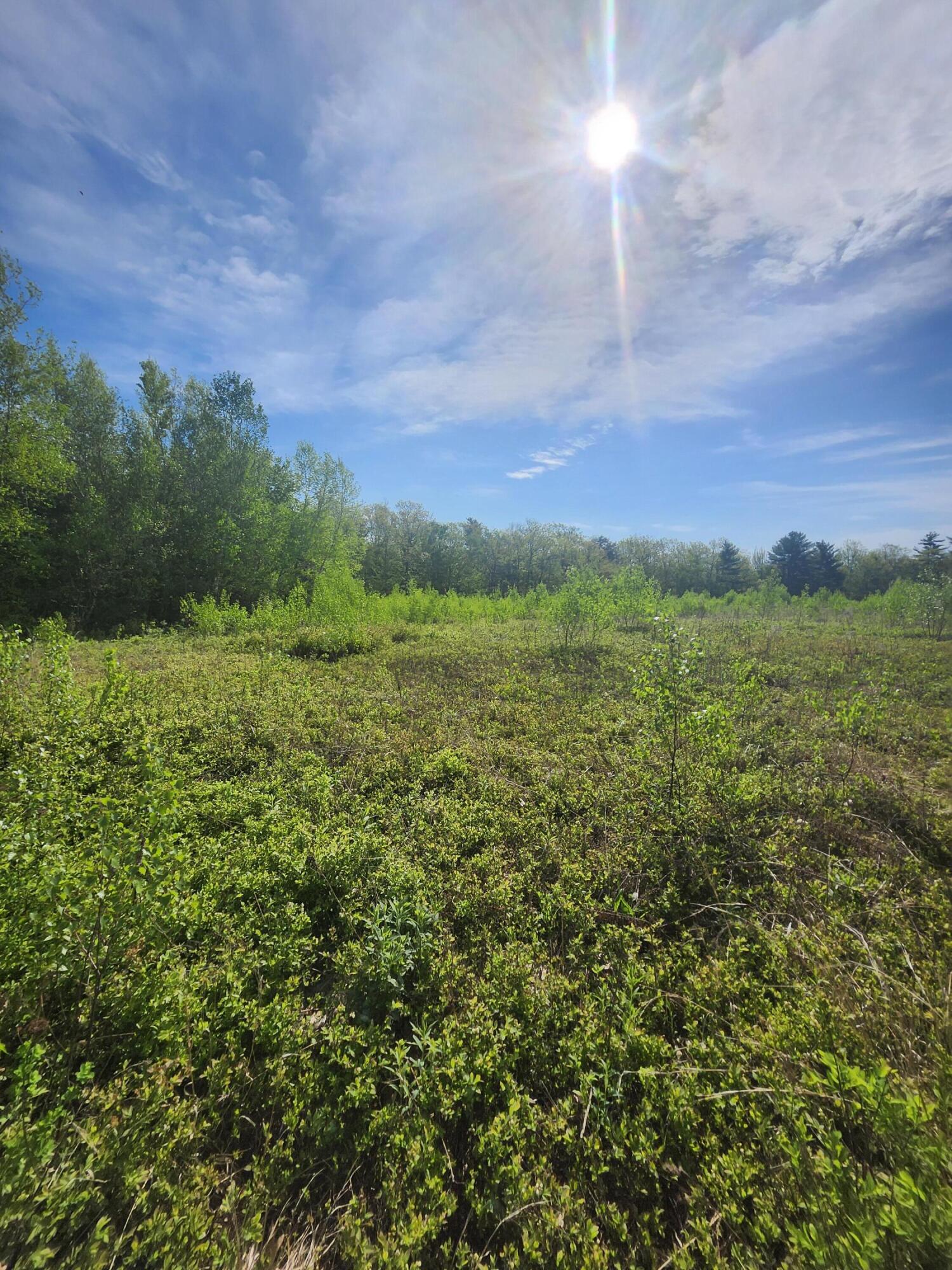 Rare opportunity to own 2 lots; A & B on land survey, totaling 4+ beautiful acres in a peaceful rural setting! Conveniently located near Routes 117 and 121, this property offers the perfect balance of privacy and accessibility. Enjoy country living with easy travel to nearby towns, shopping, and amenities. Whether you're looking to build your dream home, start a homestead, or invest in land in a desirable location, this property has endless potential. Don't miss your chance to own a slice of Maine countryside!