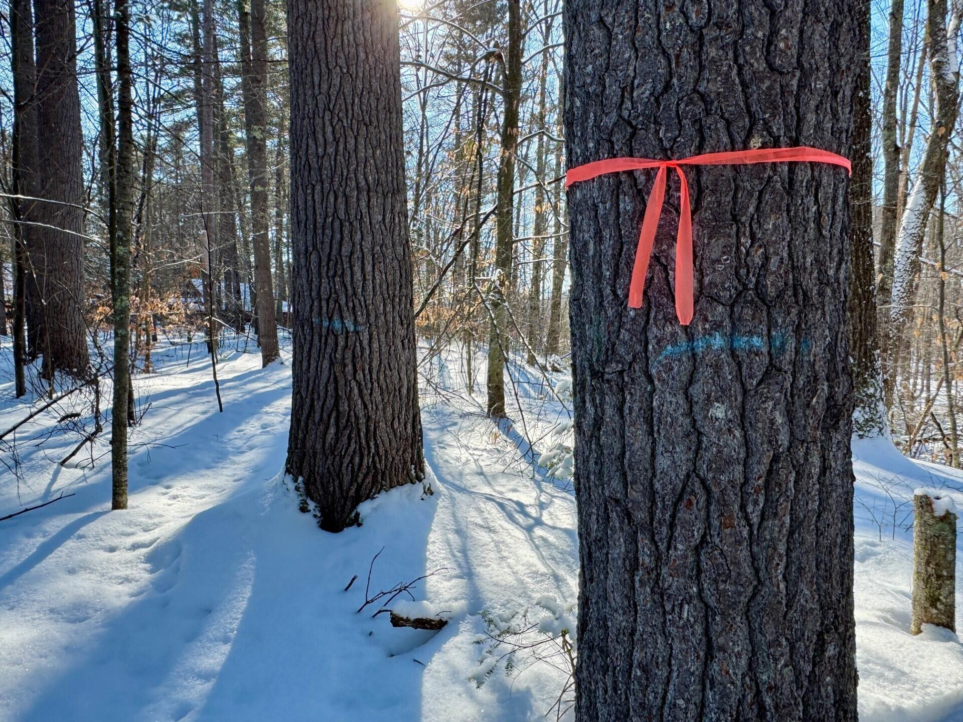 TBD Swans Falls Road UNIT Lot A, Fryeburg, ME, 04037