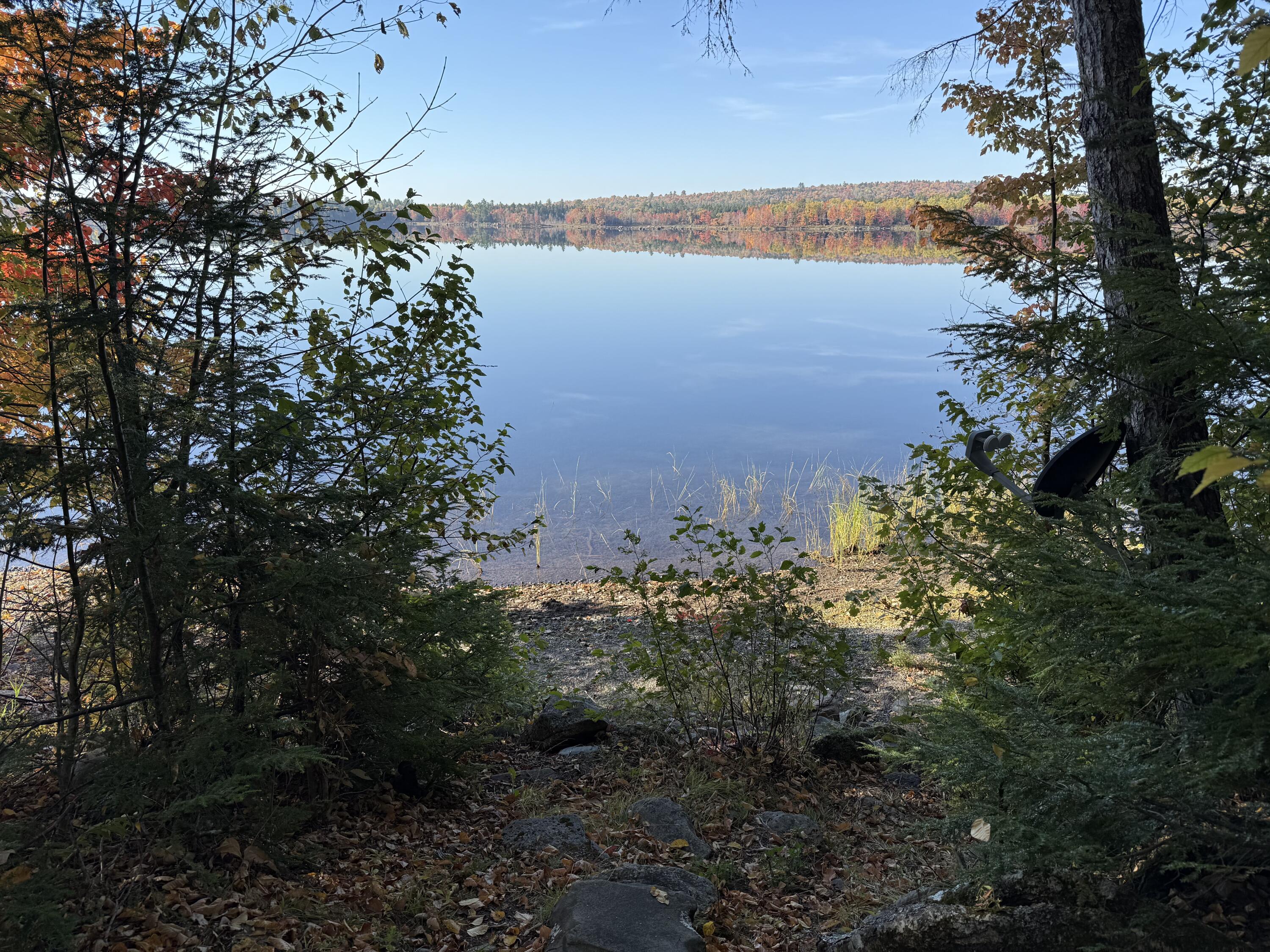 55 Mcnelly Road, Island Falls, ME, 04747