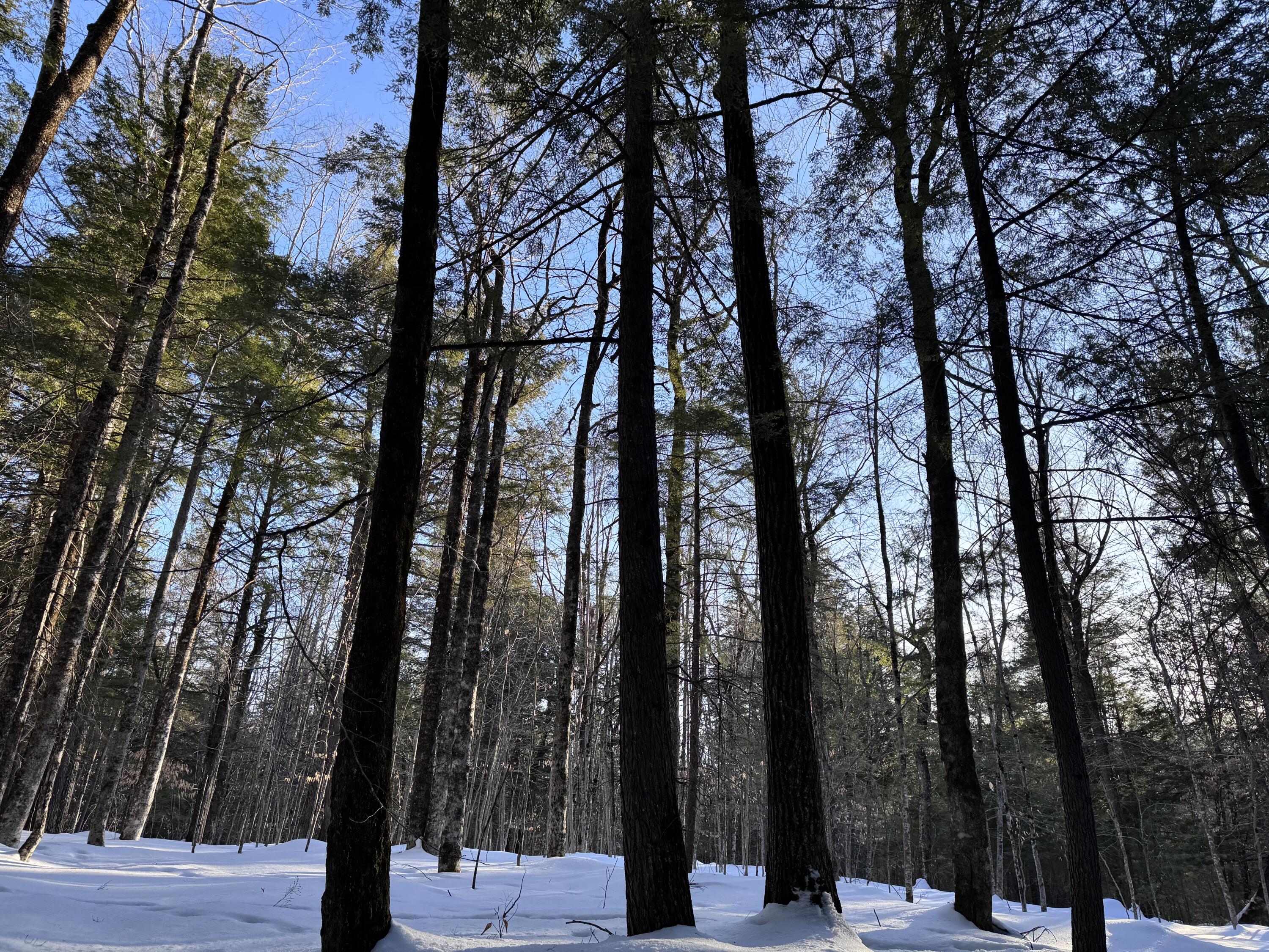 M10L44 Mountain View Road, Fryeburg, ME, 04037