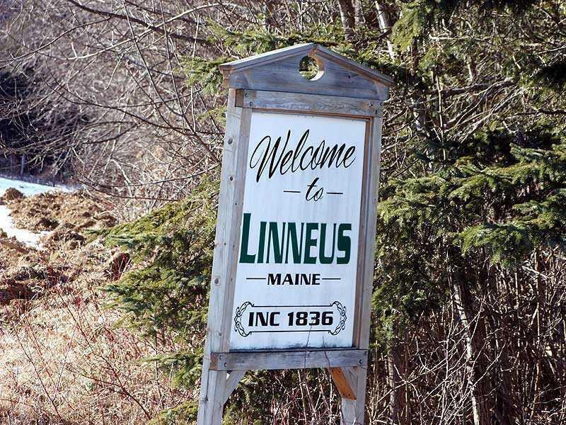 Lot 11 Drews Mill Road, Linneus, ME, 04730