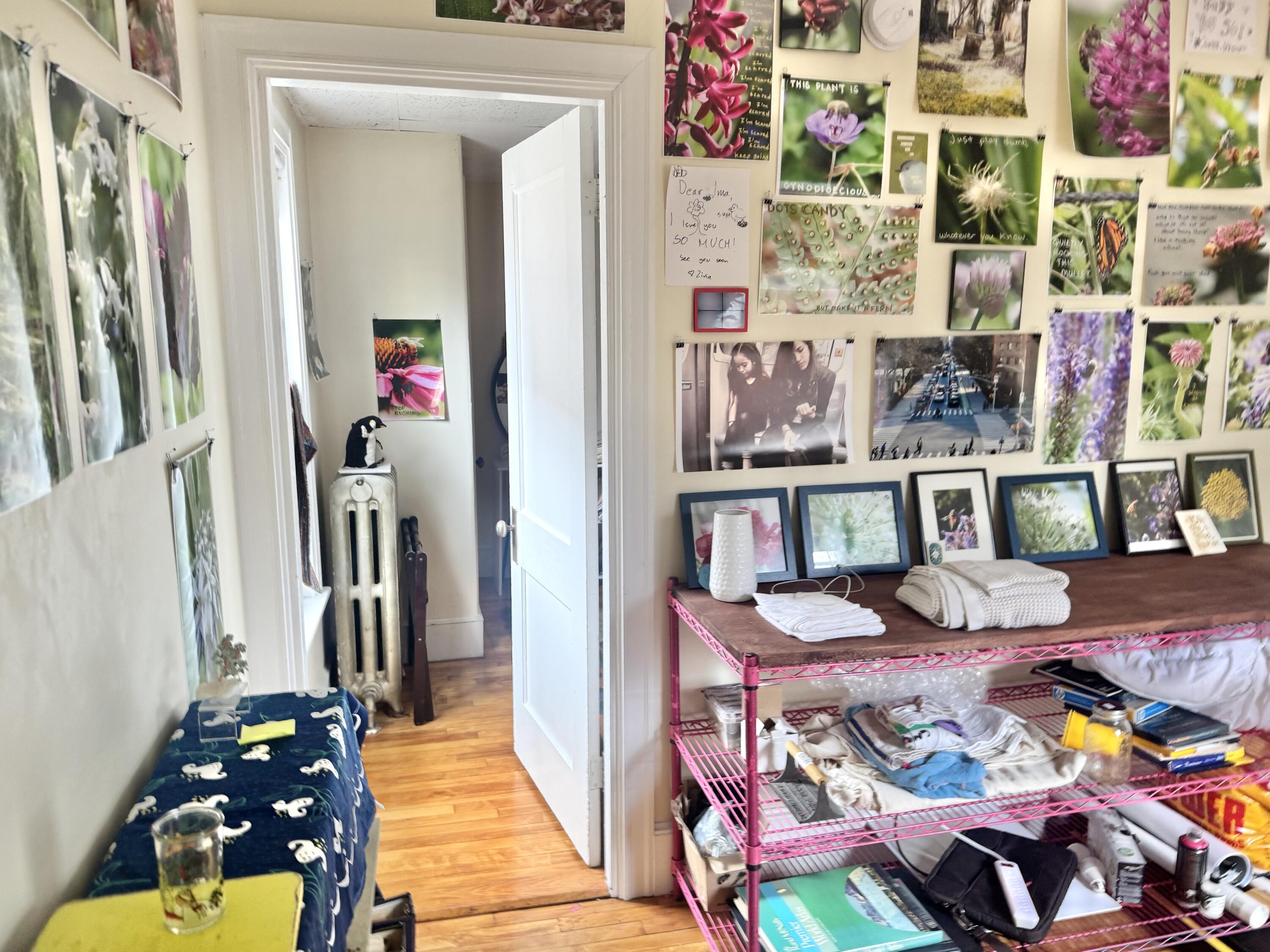 9 Grasmere Road, Portland, ME, 04101