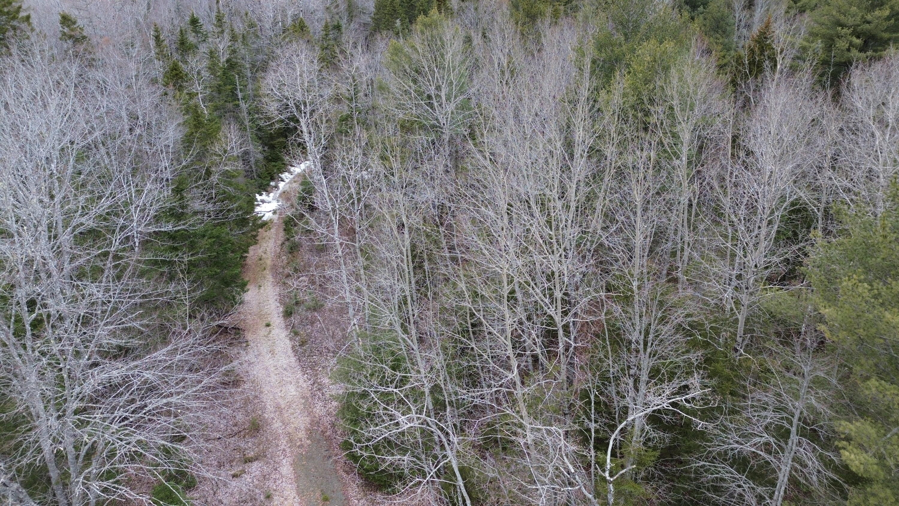 WA31P01L21 Kings Street, Dennysville, ME, 04628