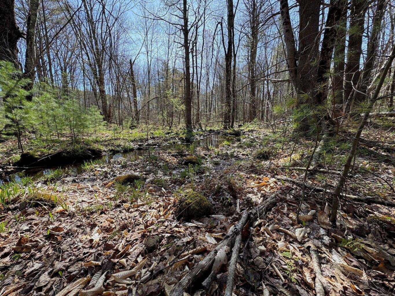 0 Scarlet Way, Lebanon, ME, 04027