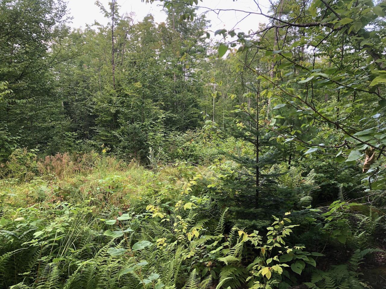 06 Swett Brook Lane, Weld, ME, 04285