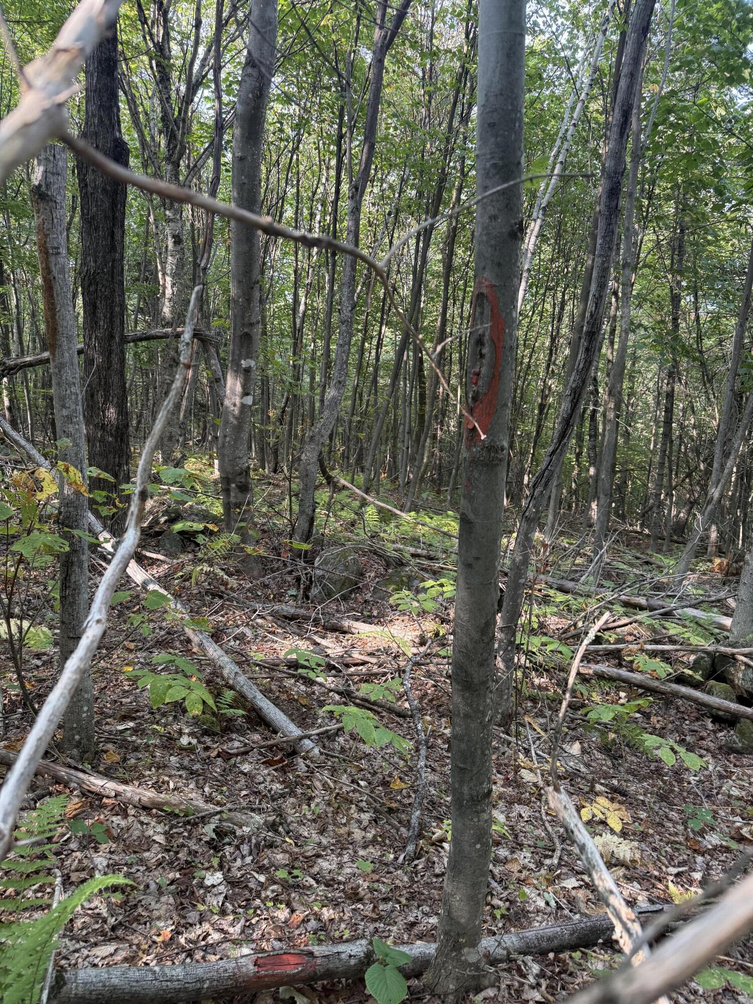 LotUNIT&nbsp;55 Arlines Way, Woodstock, ME, 04219