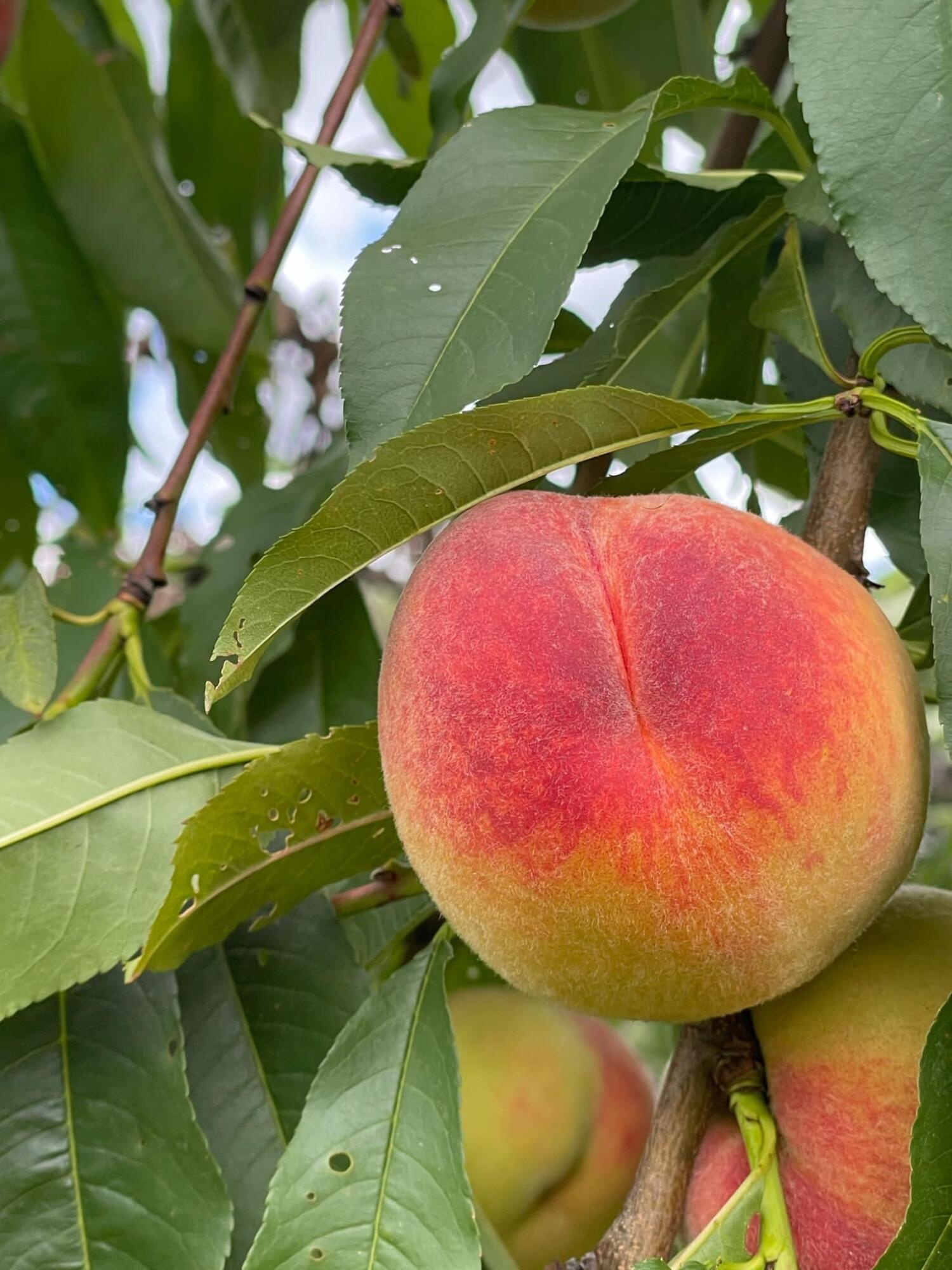 356 Range Road, Atkinson, ME, 04426