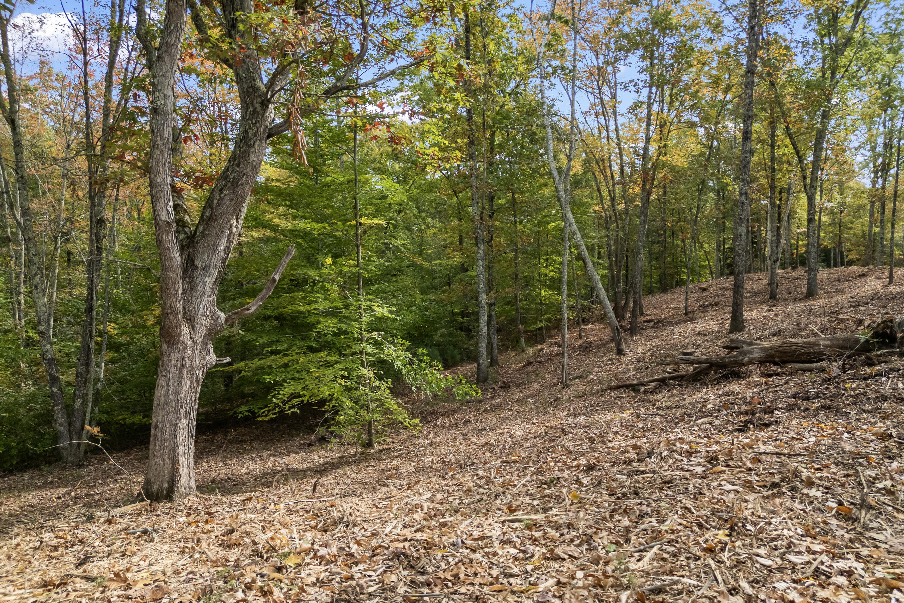 TBD Ridge Terrace UNIT Lot 2, North Berwick, ME, 03906