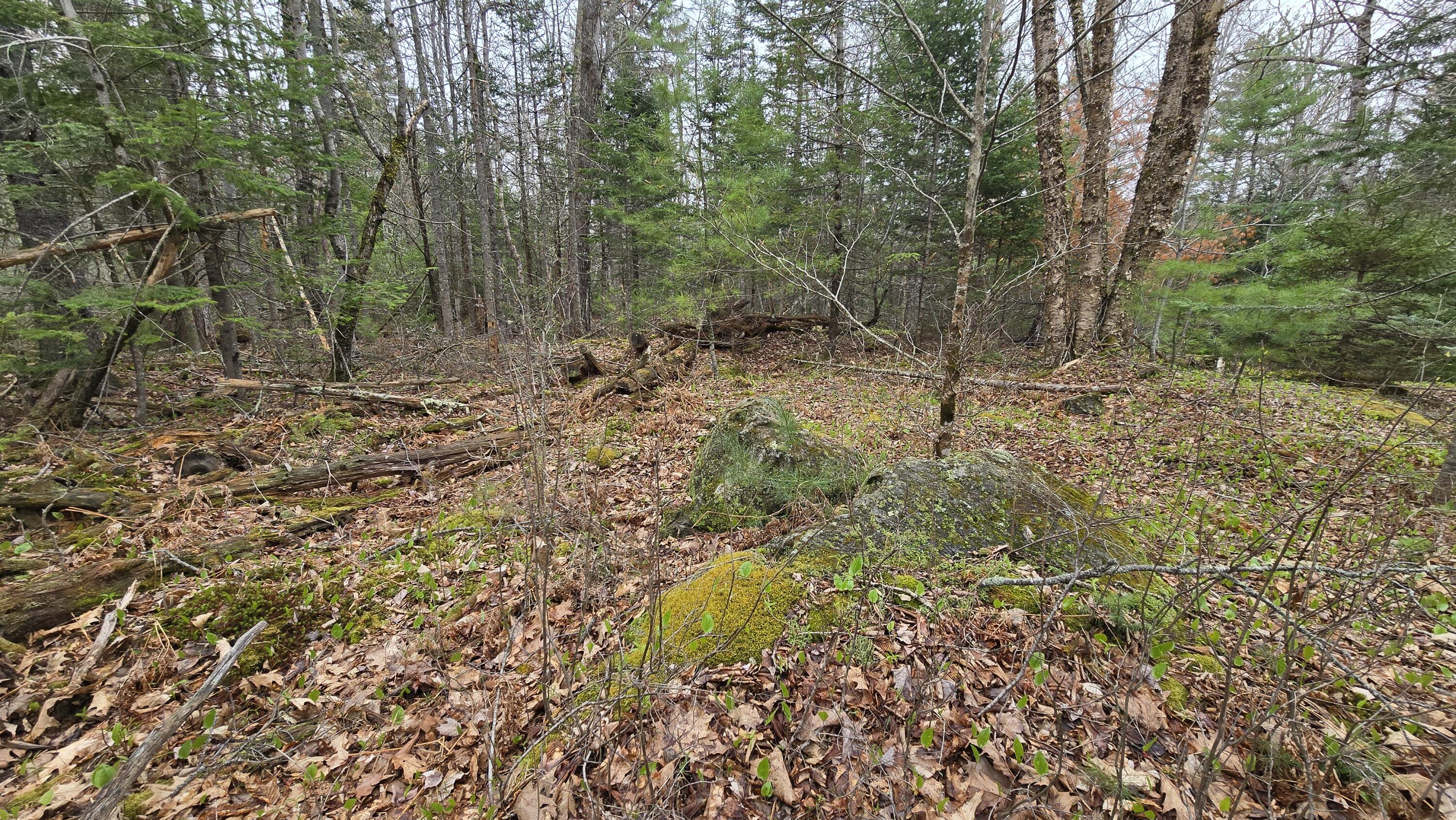 Lot 58 Camden Road, Lincolnville, ME, 04849