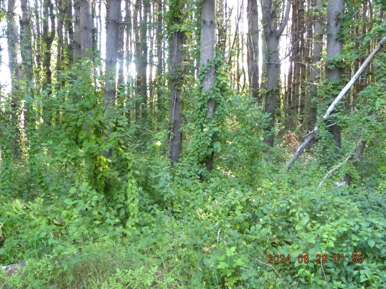 Lot A Bernier Road, Sanford, ME, 04073