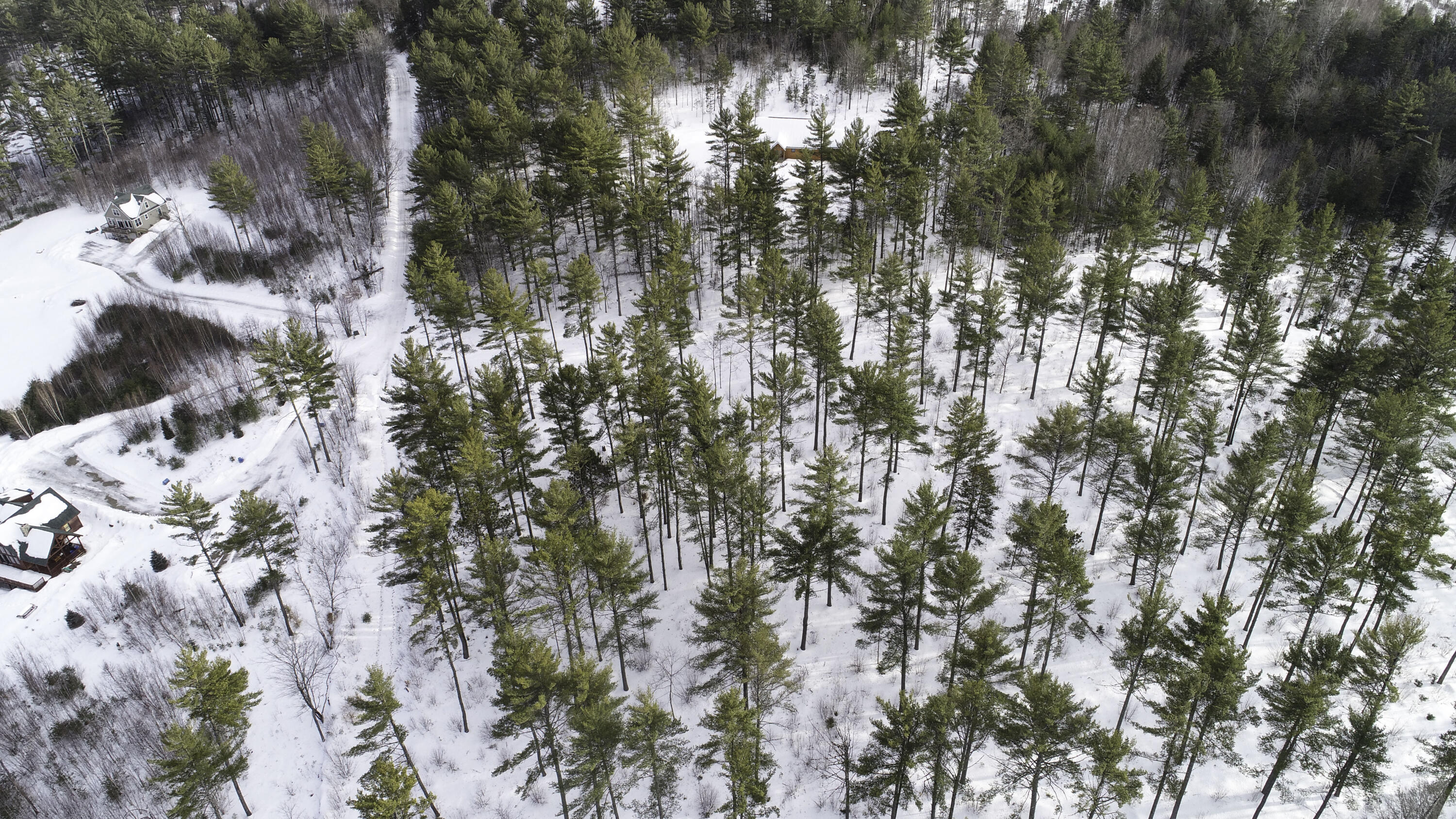 Lot 1 Lyman Wheeler Road, Bethel, ME, 04217