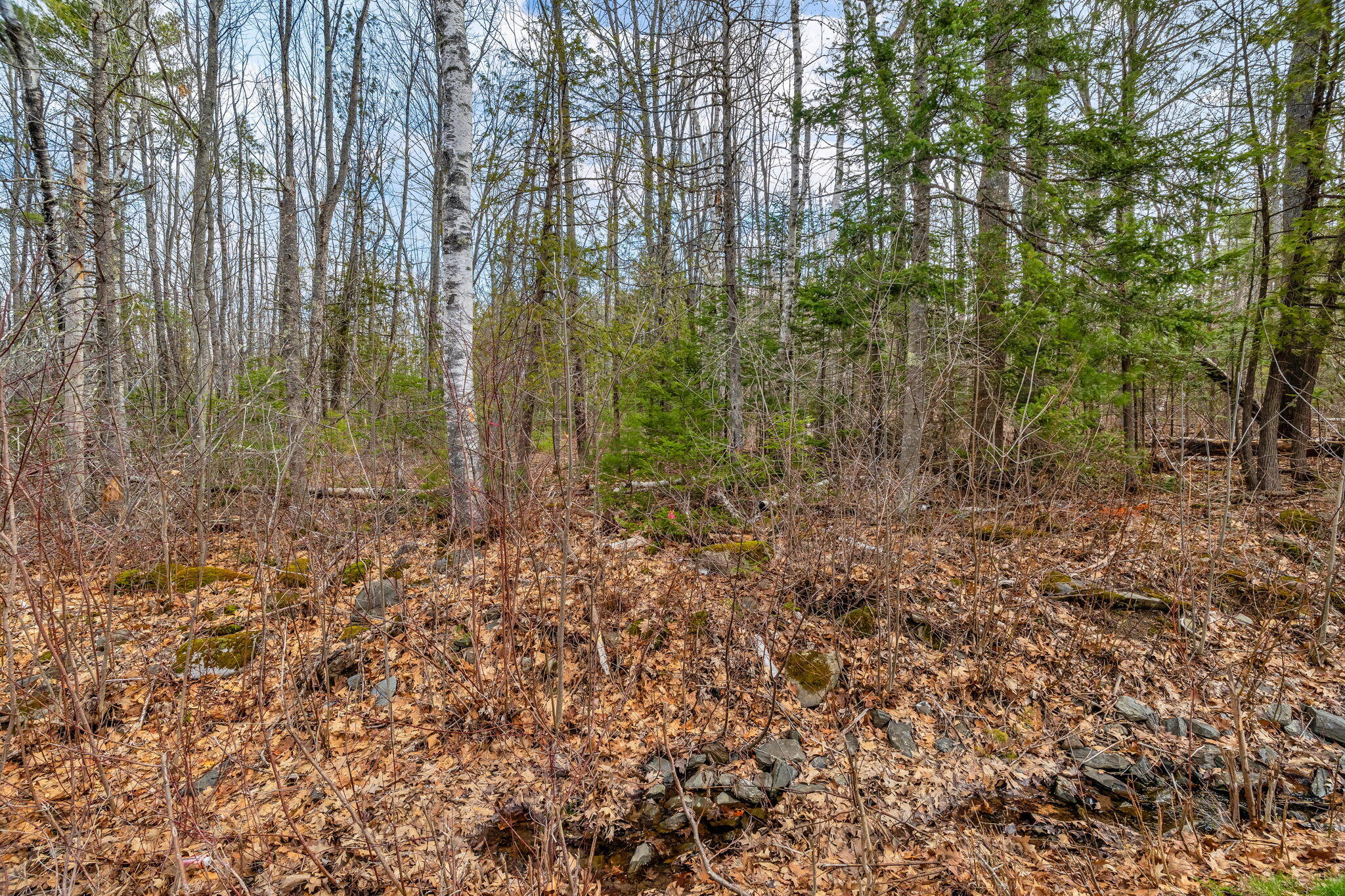 Lot 48 Manning Mill Road, Hampden, ME, 04444