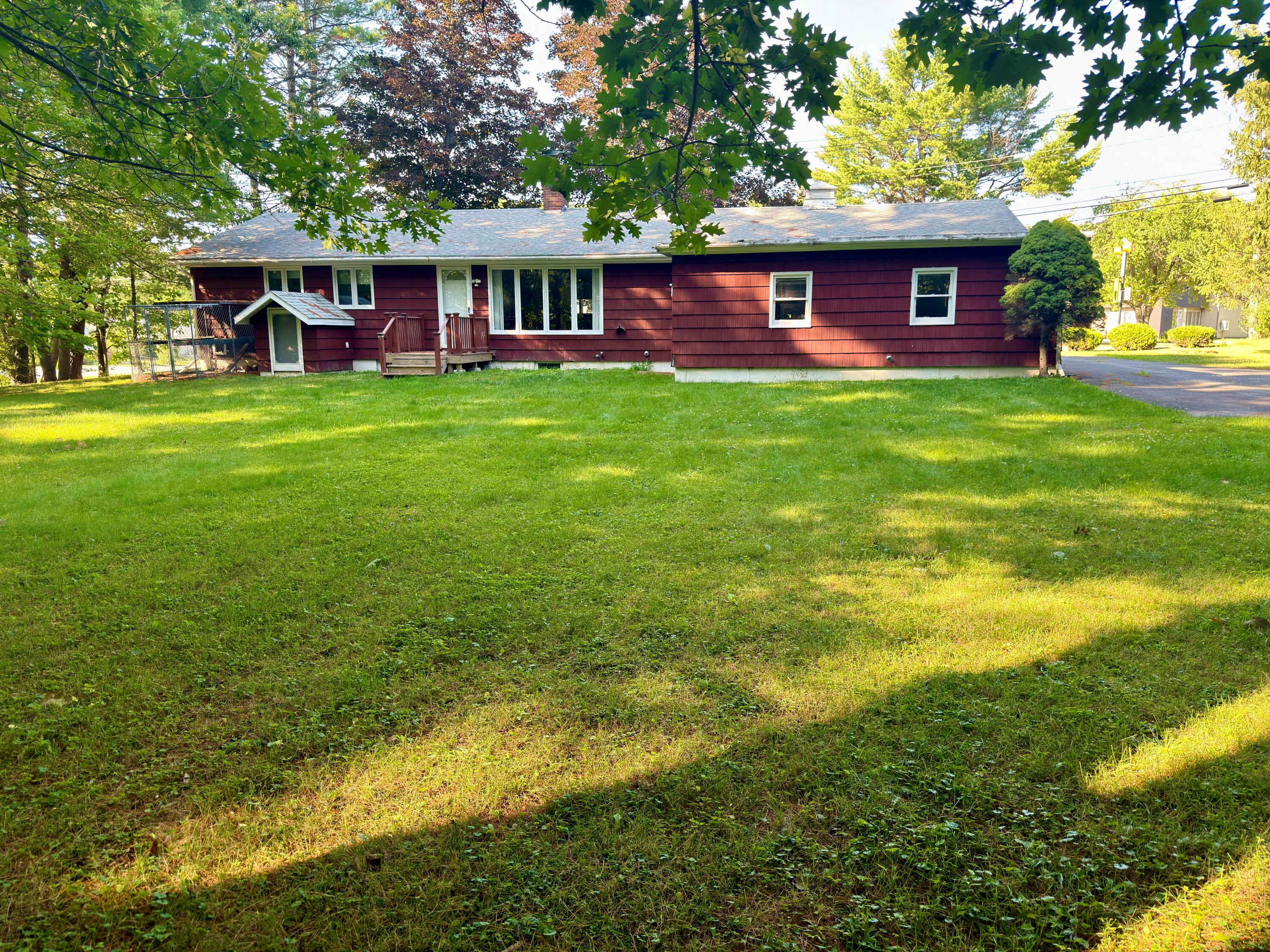 BACKYARD - 3