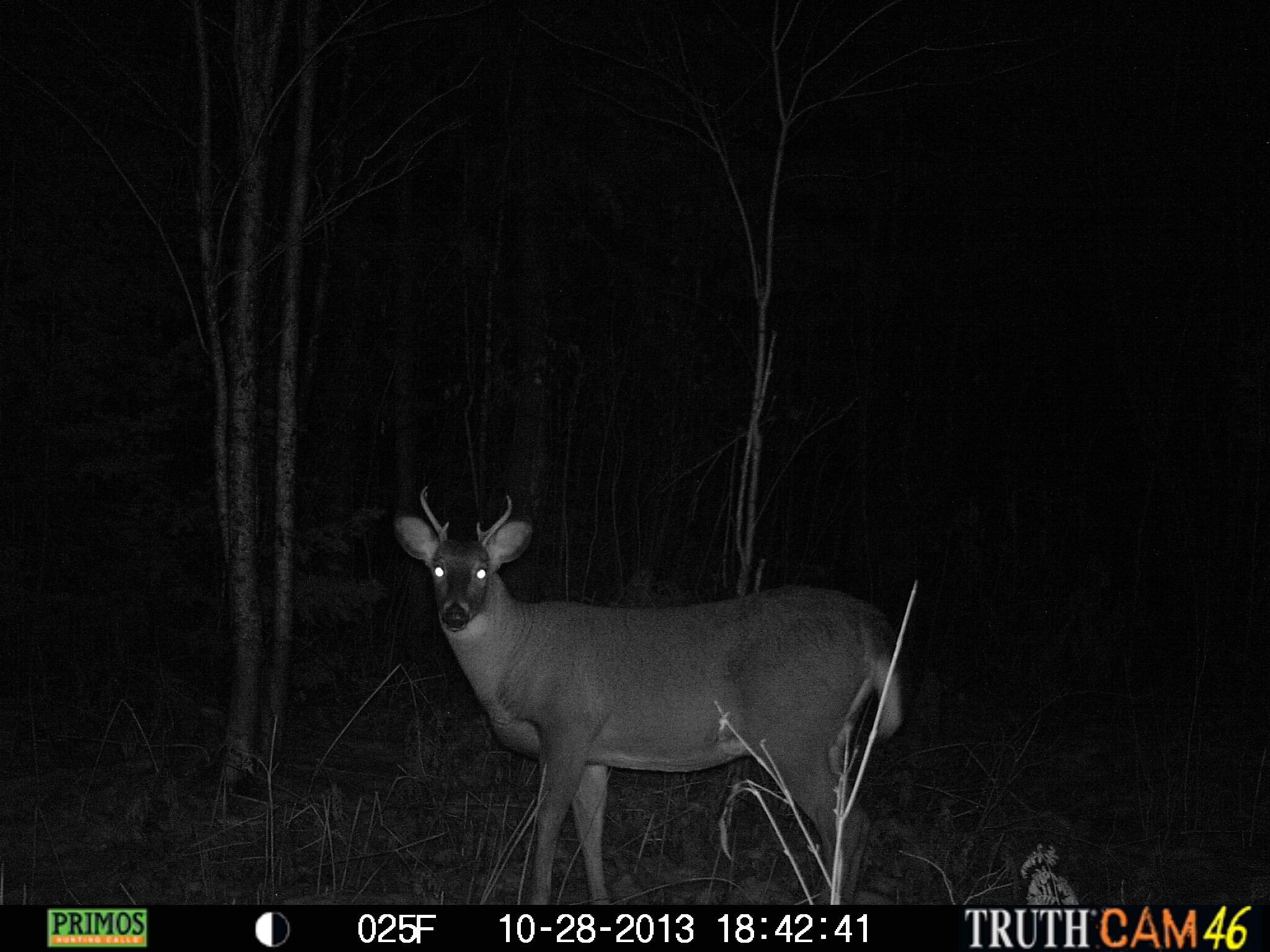 Lot UNIT&nbsp;3 Pleine Road, Saint Agatha, ME, 04772