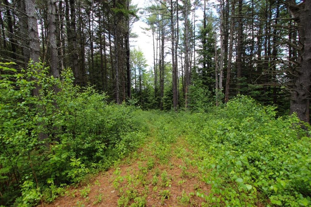 00 Cross Street, Greenwood, ME, 04255