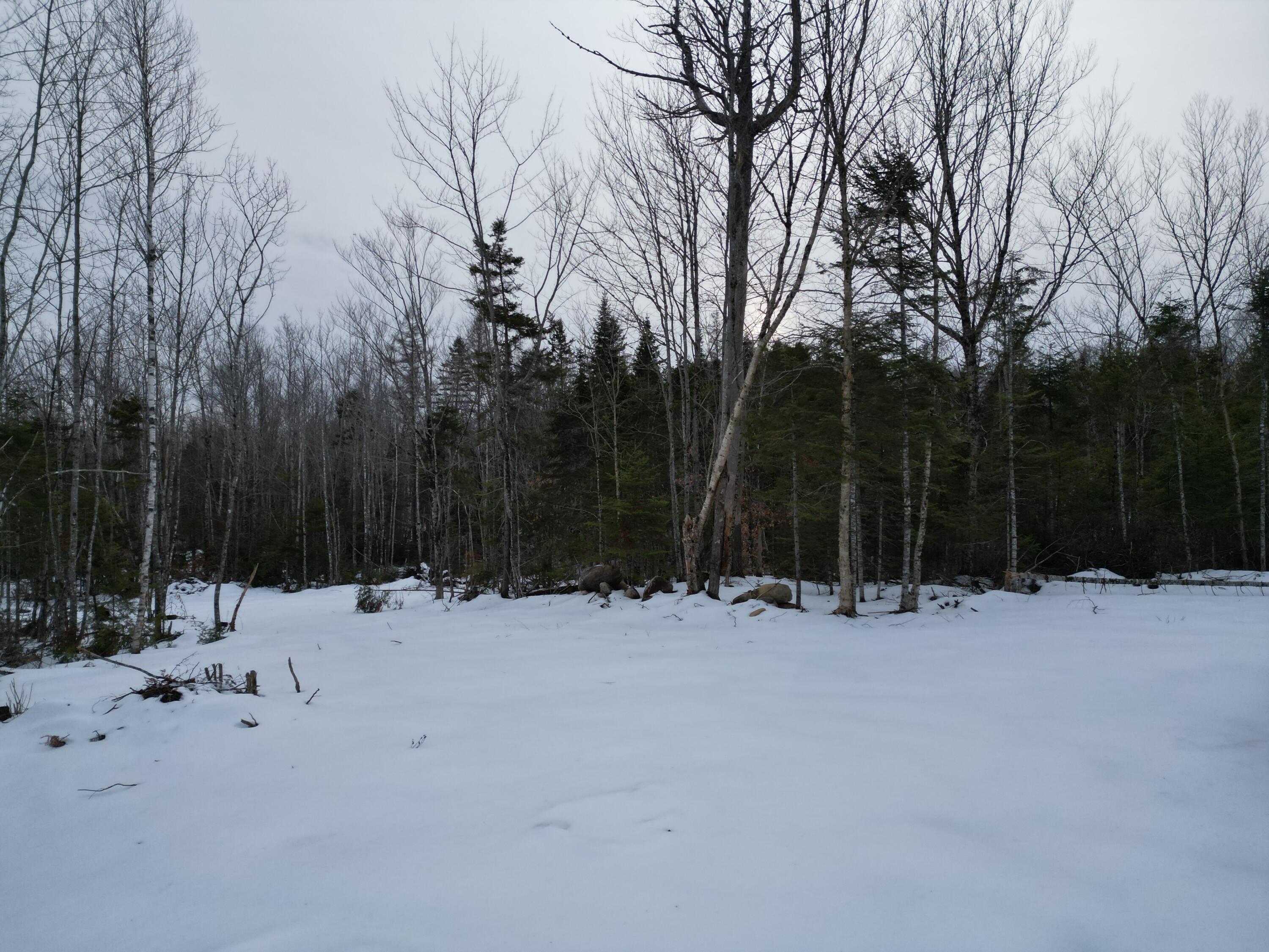 Lot 1 Moores Road, Springfield, ME, 04487