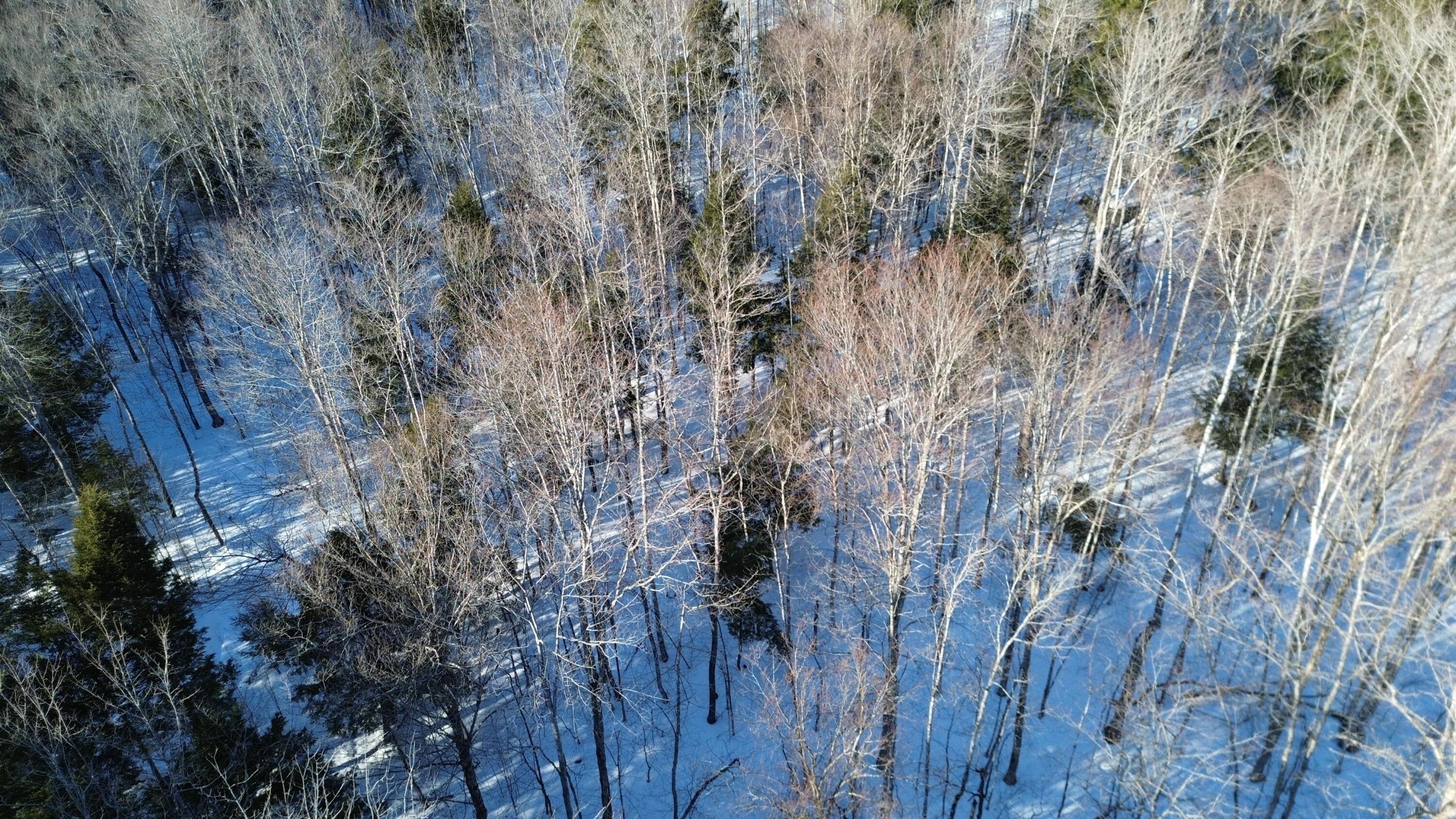 M7L22 Nelson Ridge Road N, Washington, ME, 04574