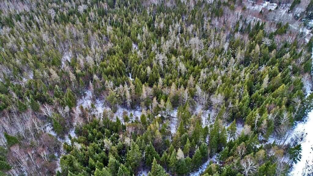 Lot 10A Fire Road, Linneus, ME, 04730