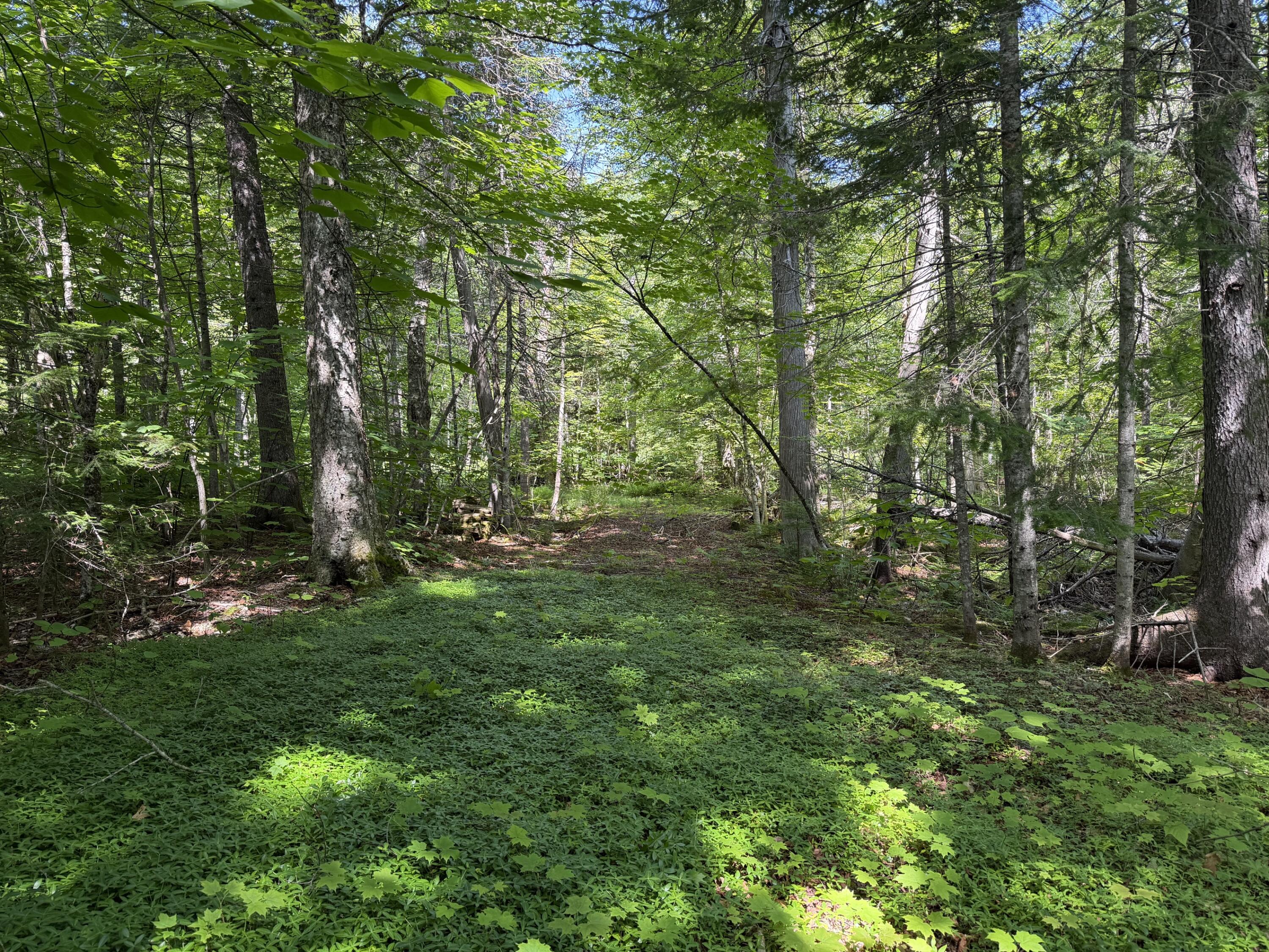 Map 40 Lot 5 Wilson Pond Road, Greenville, ME 04441 Lower Wilson Pond 8