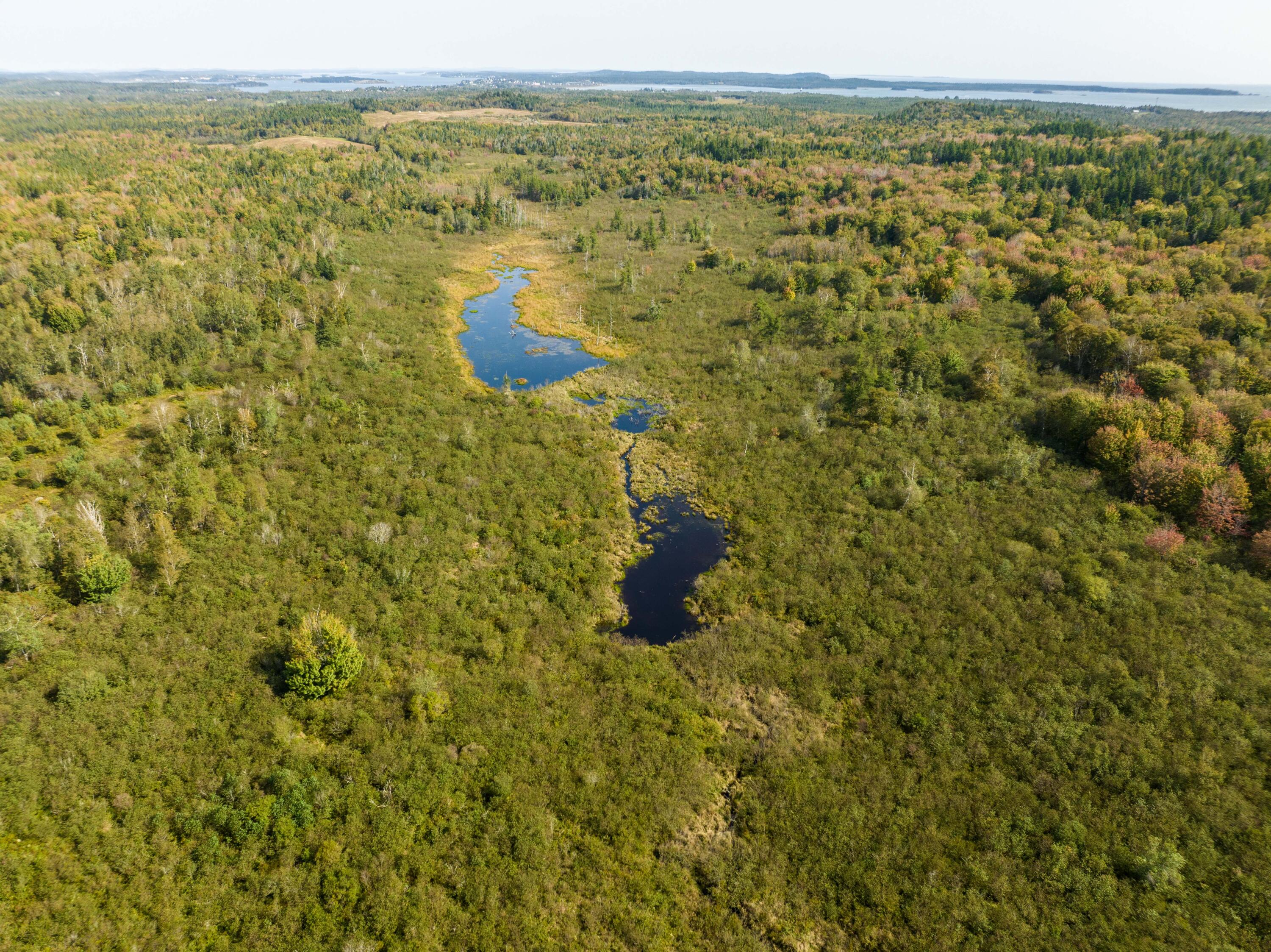 117 Denbow Road, Lubec, ME, 04652