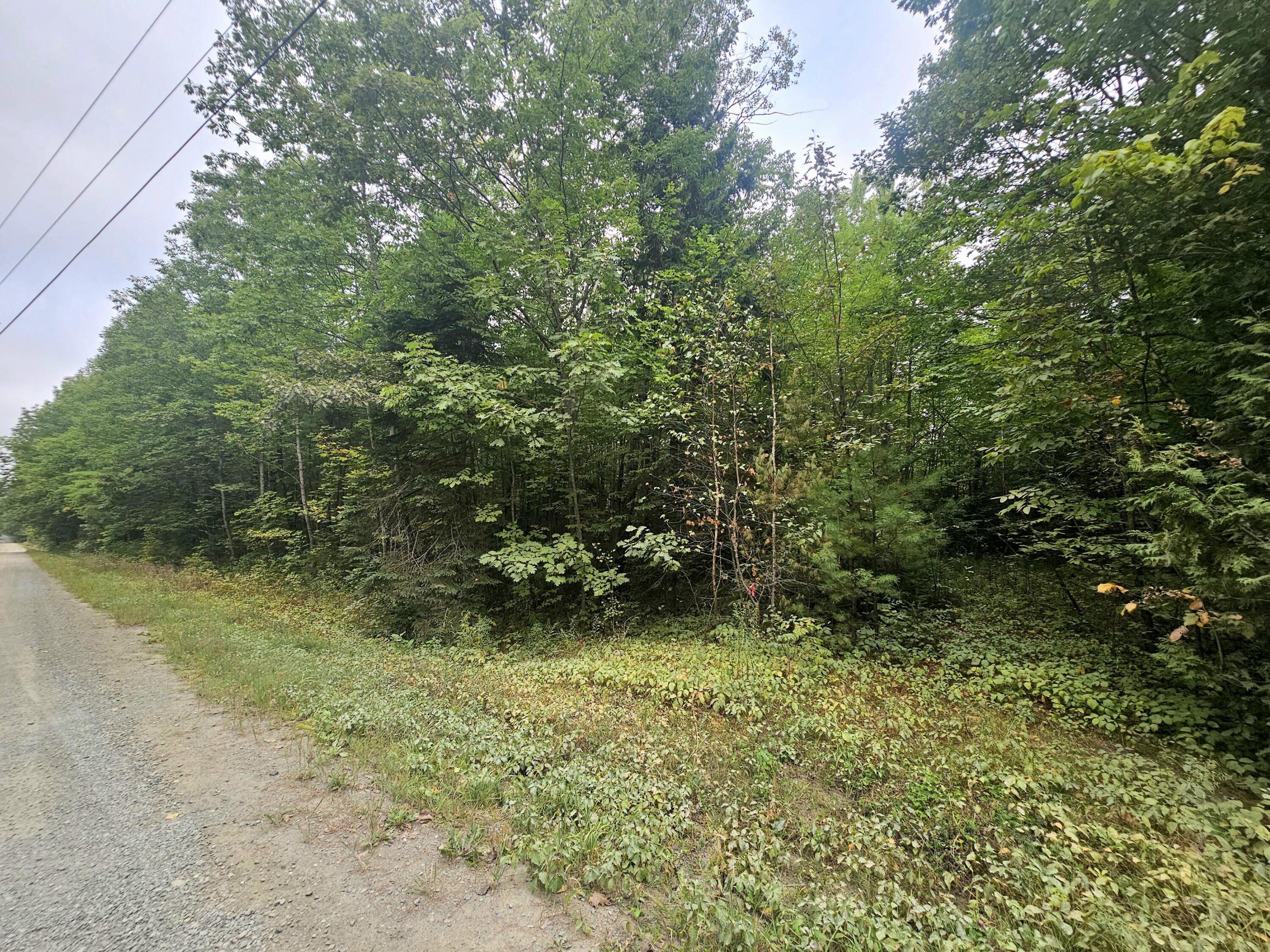 Lot UNIT&nbsp;37C Village View, Jay, ME, 04239