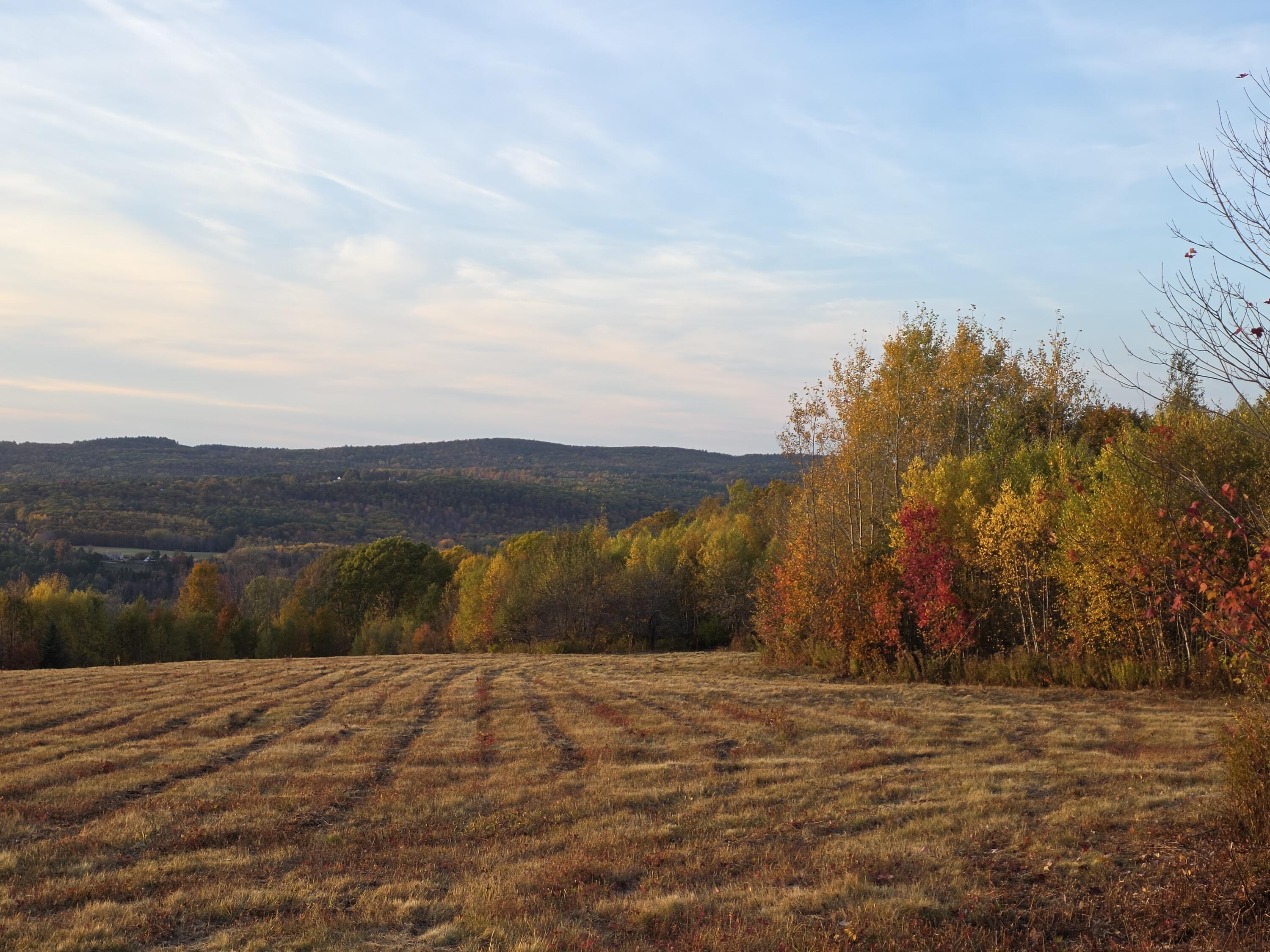 0 Crie Hill Road, Liberty, ME, 04949