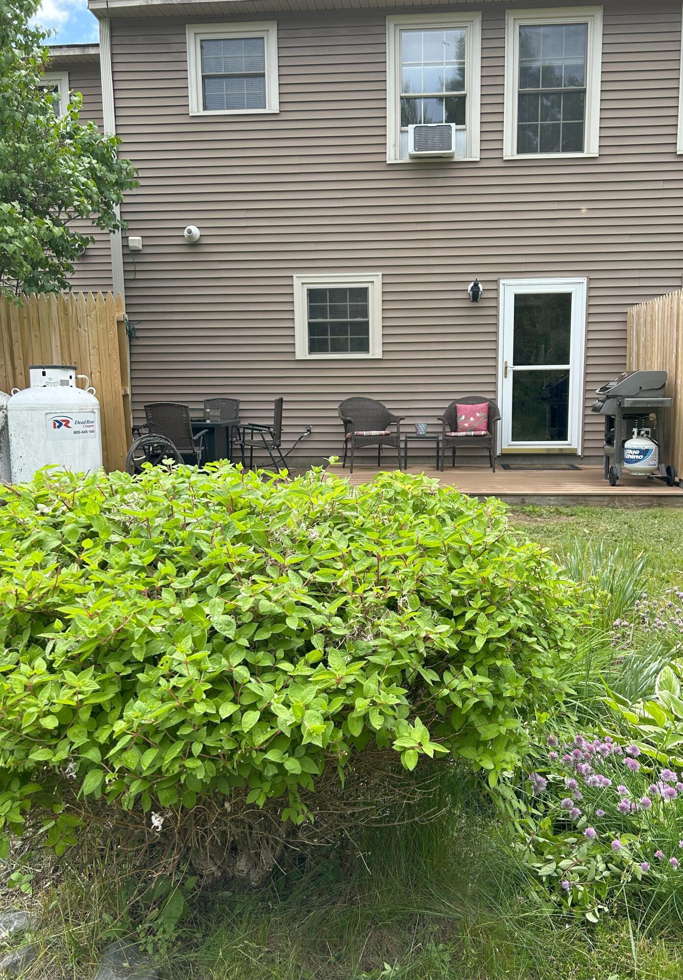 1016 State Street UNIT 7, Bangor, ME, 04401