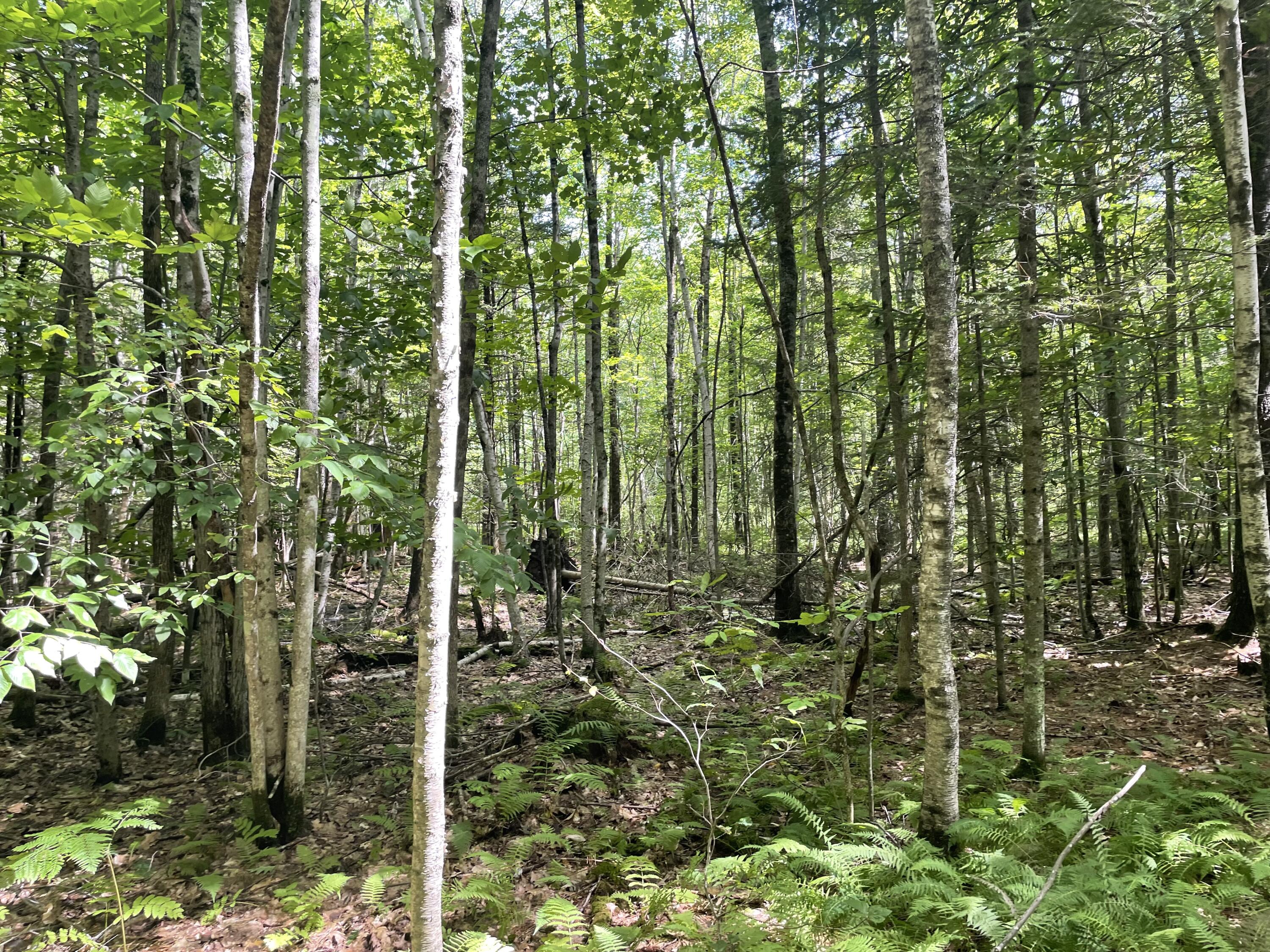 0 Cross Street, Manchester, ME, 04351