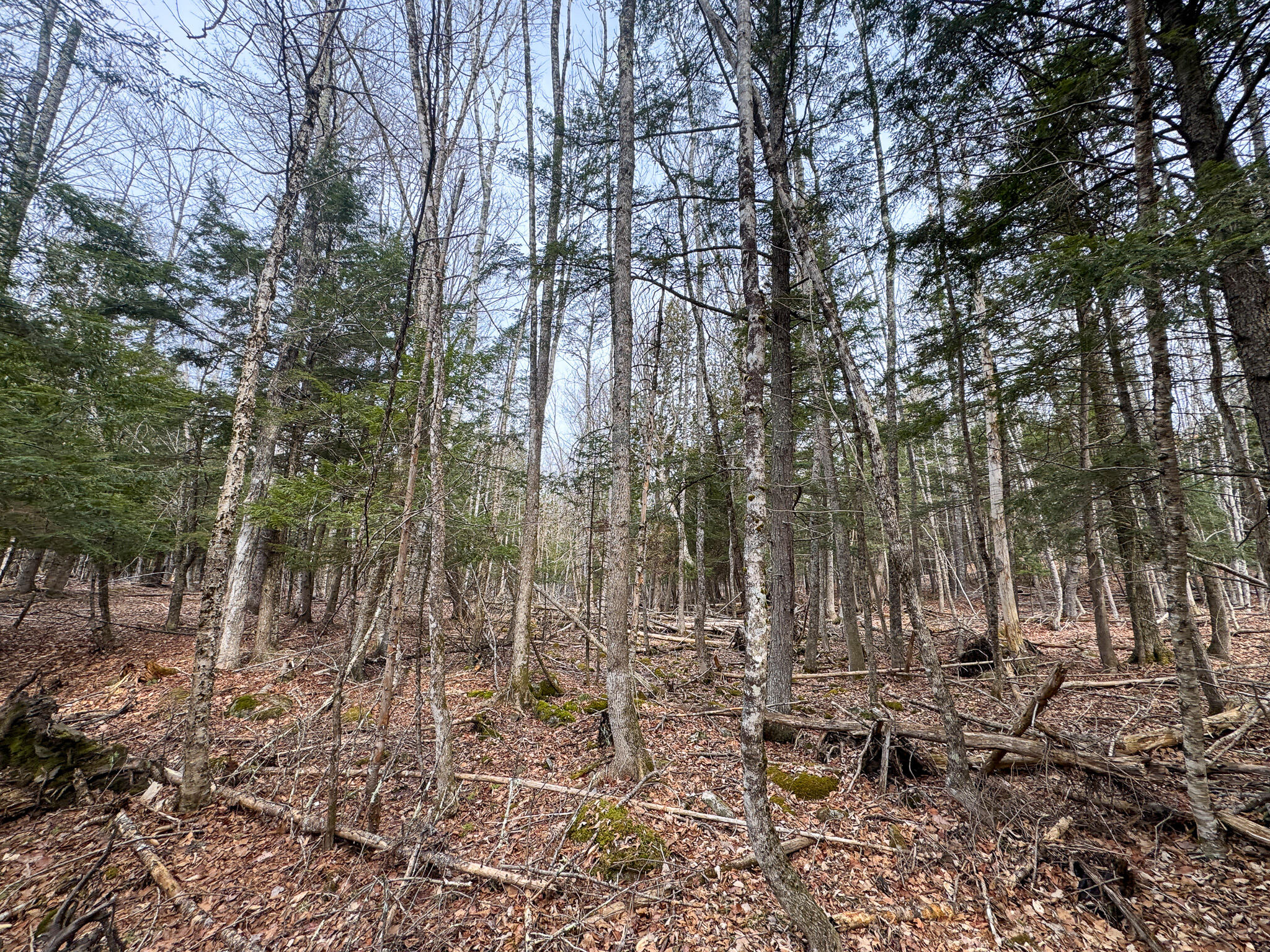 M11L10 Off Gordon Hill Road, Thorndike, ME, 04986