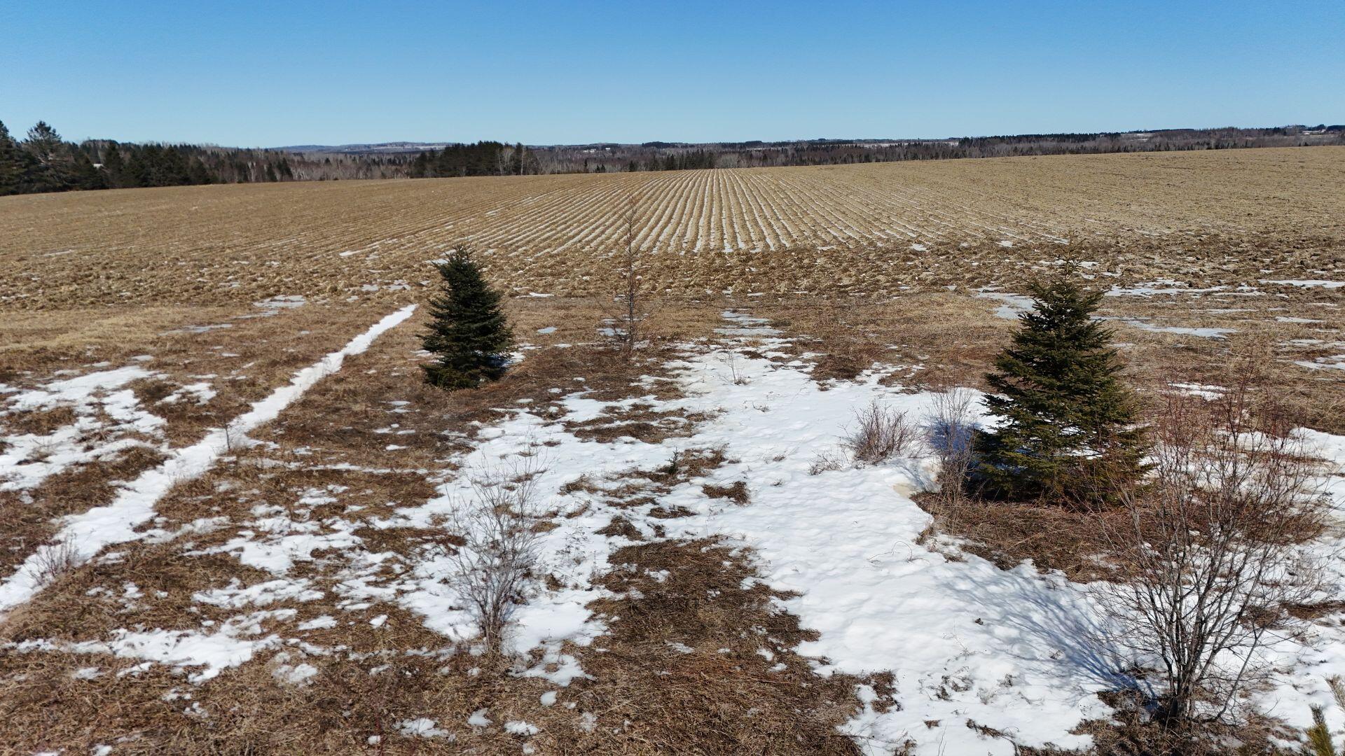 0 Washburn Road UNIT Lot 5, Caribou, ME, 04736