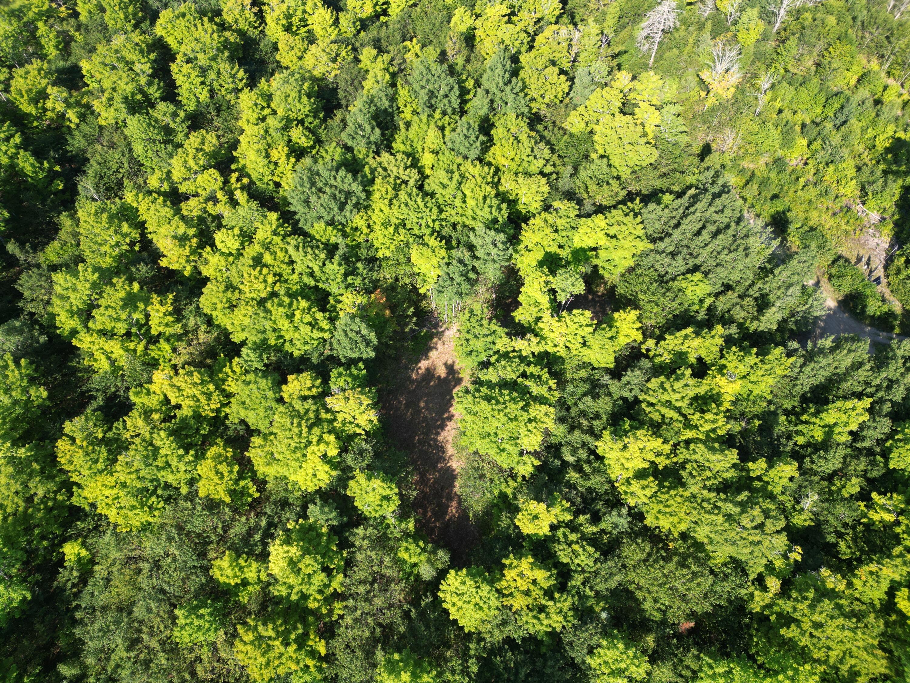 29 Spaulding Lane, Lee, ME 04455 DJI_0978
