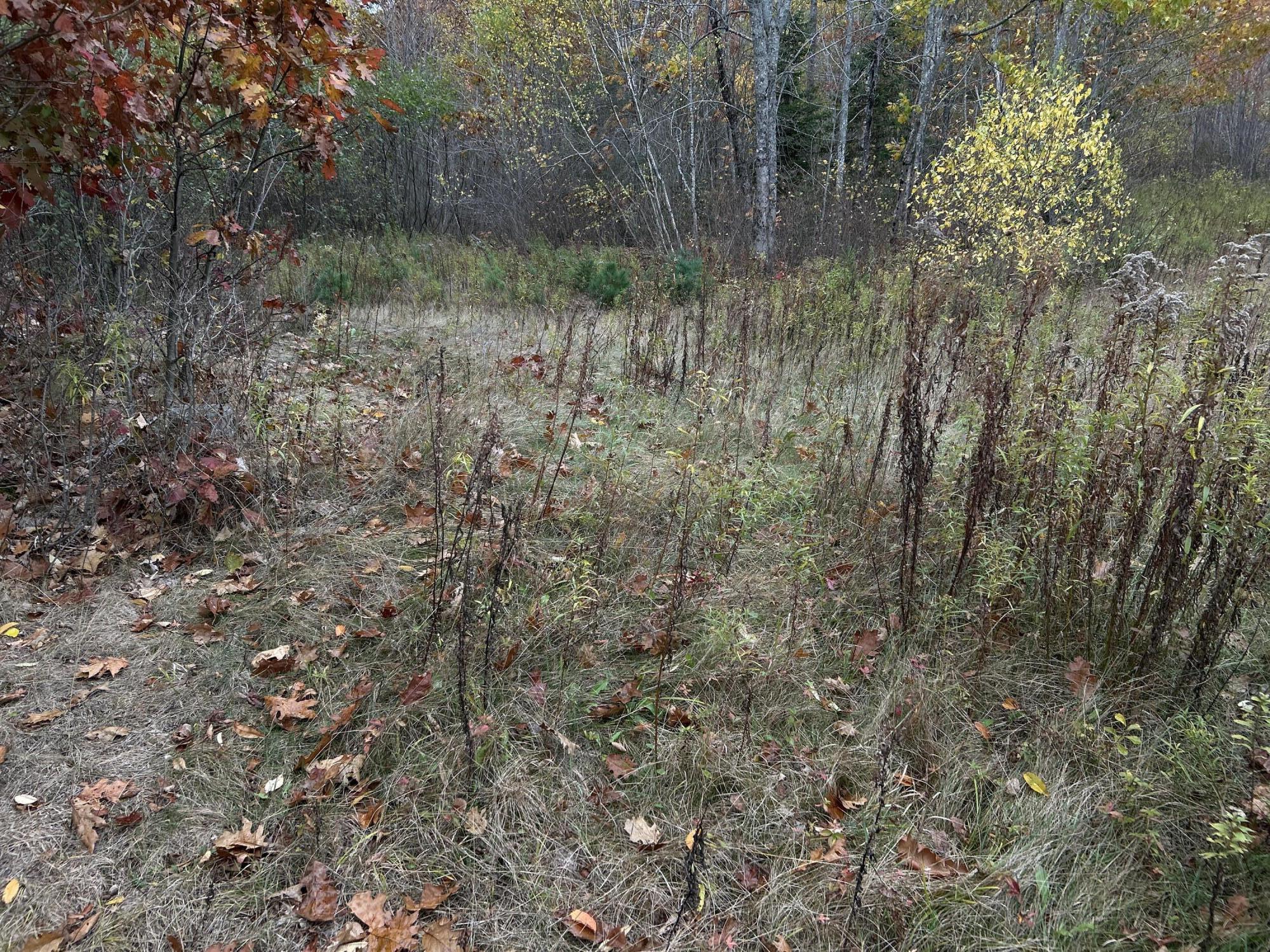 M4L18 Bog Road, Jackson, ME, 04921