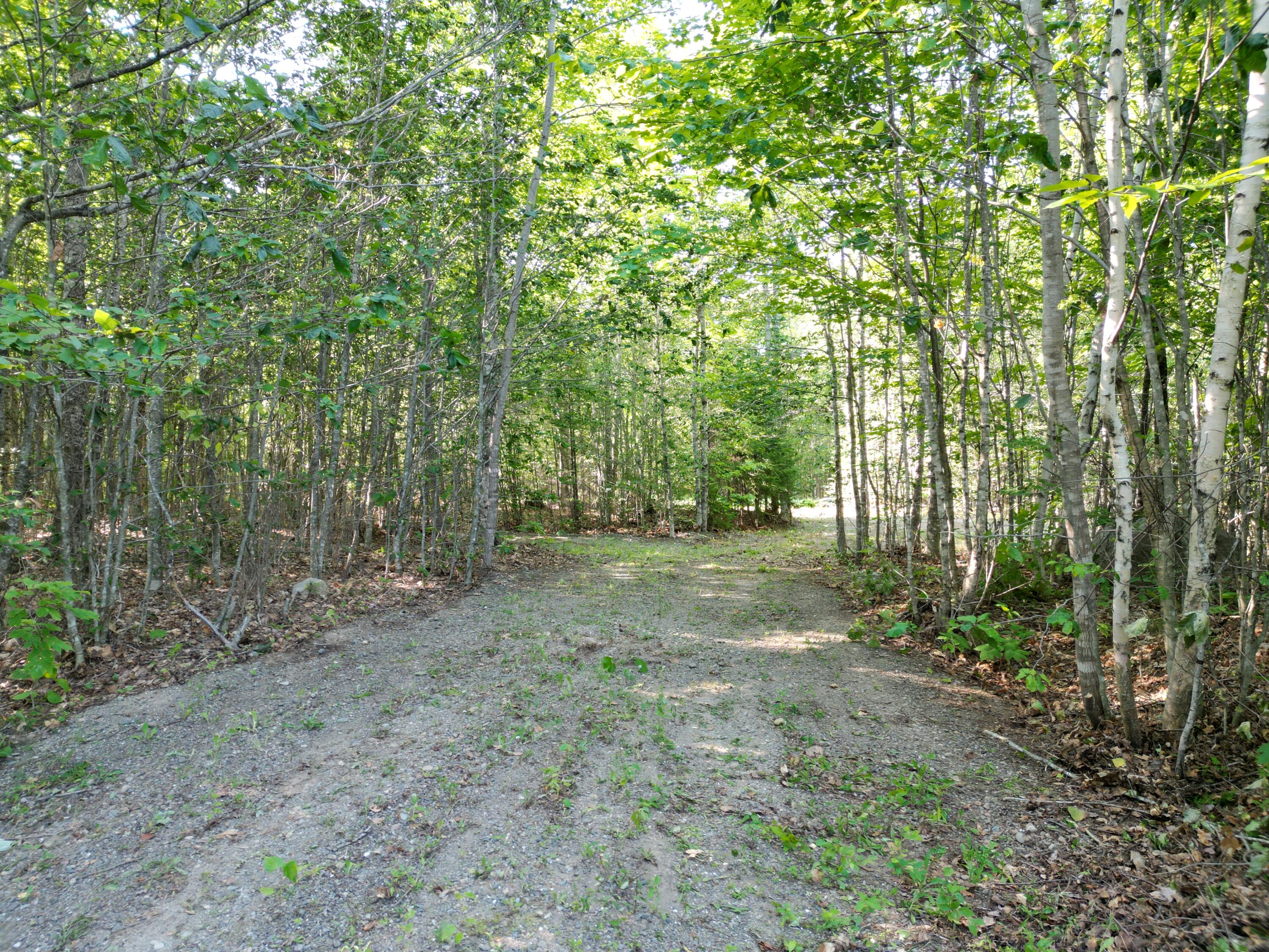 29 Spaulding Lane, Lee, ME 04455 DJI_0968