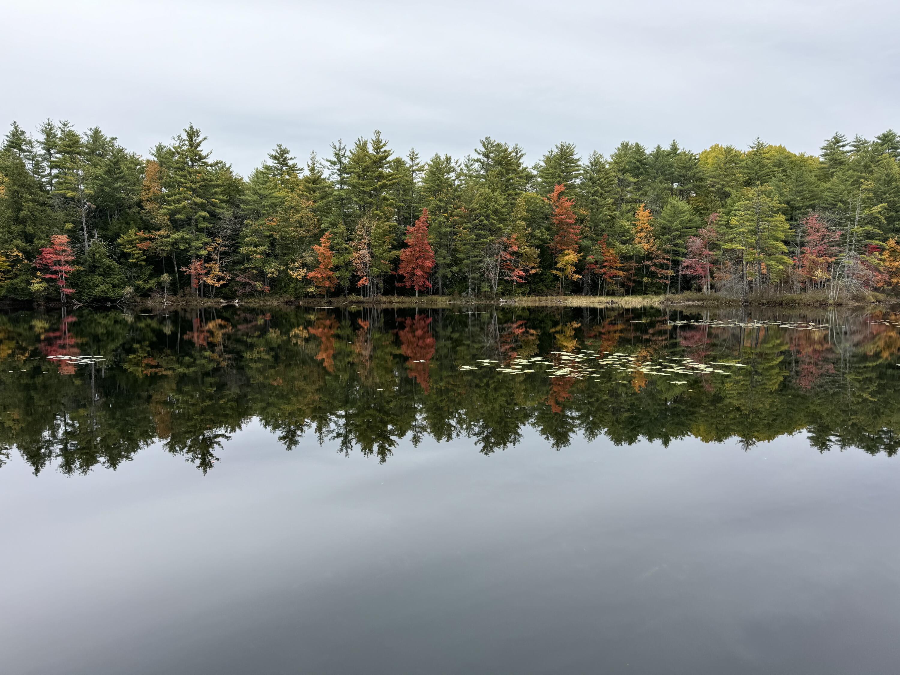 0 Mountain Road, Raymond, ME, 04071