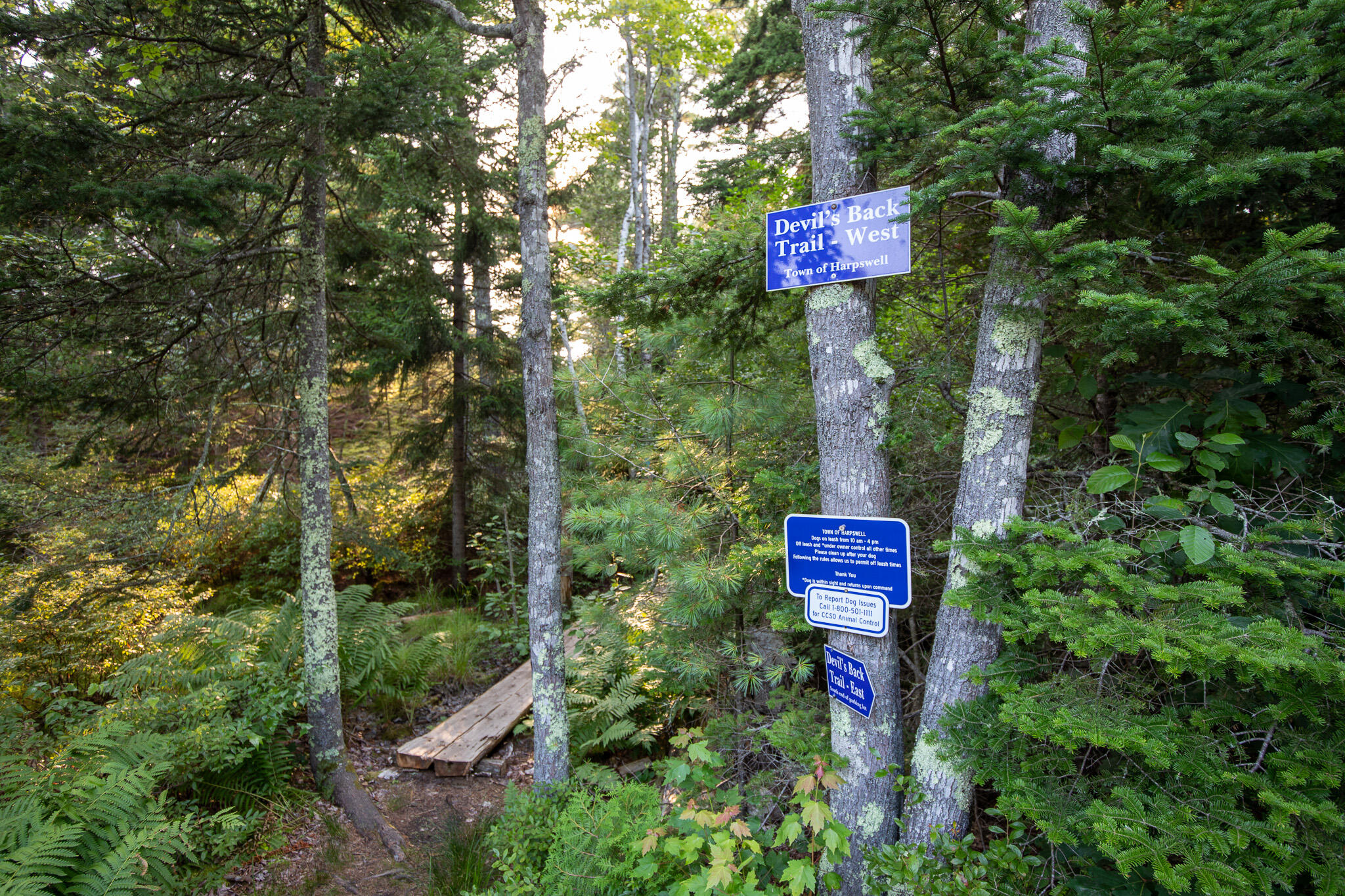 0 Bayview Road UNIT 2, Harpswell, ME, 04066