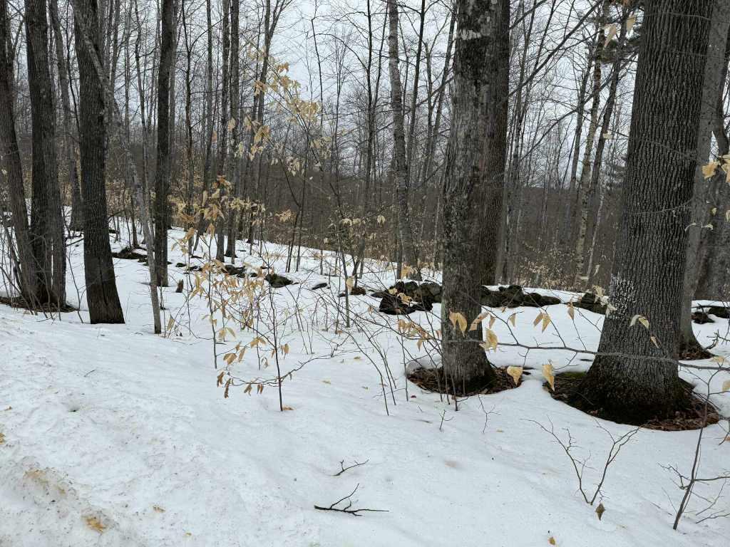 Lot 005 Greenwood Brook Road, Industry, ME, 04938