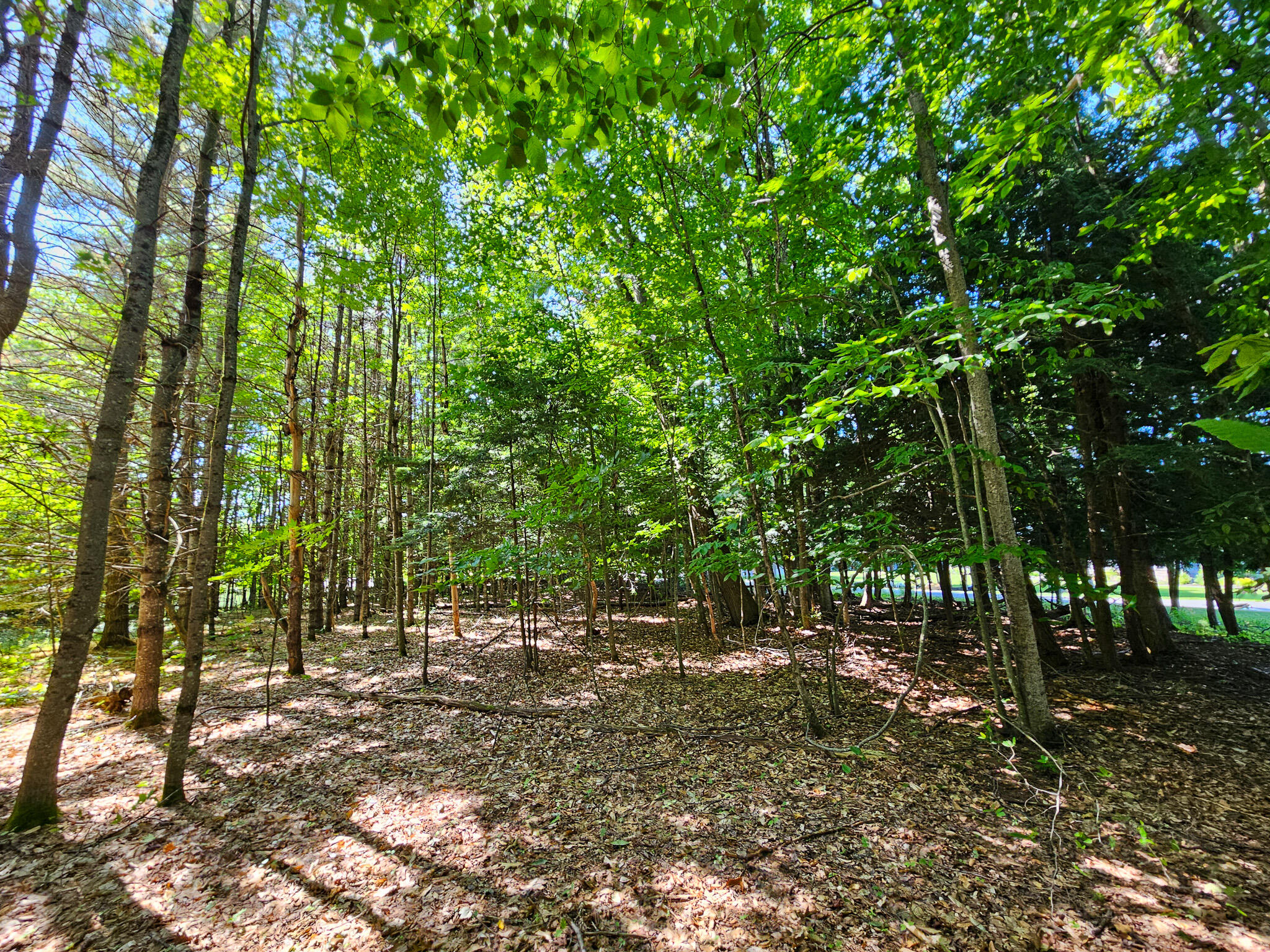 11-31-C Stone Hill Road, Farmington, ME, 04938