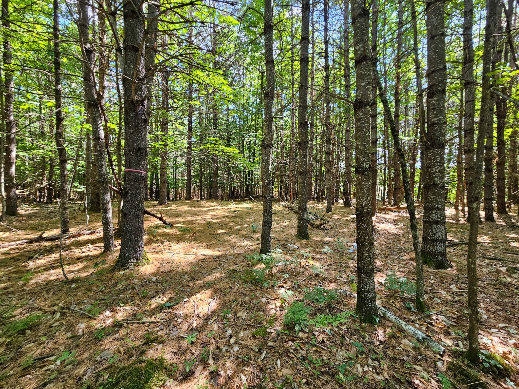 11-31-C Stone Hill Road, Farmington, ME, 04938