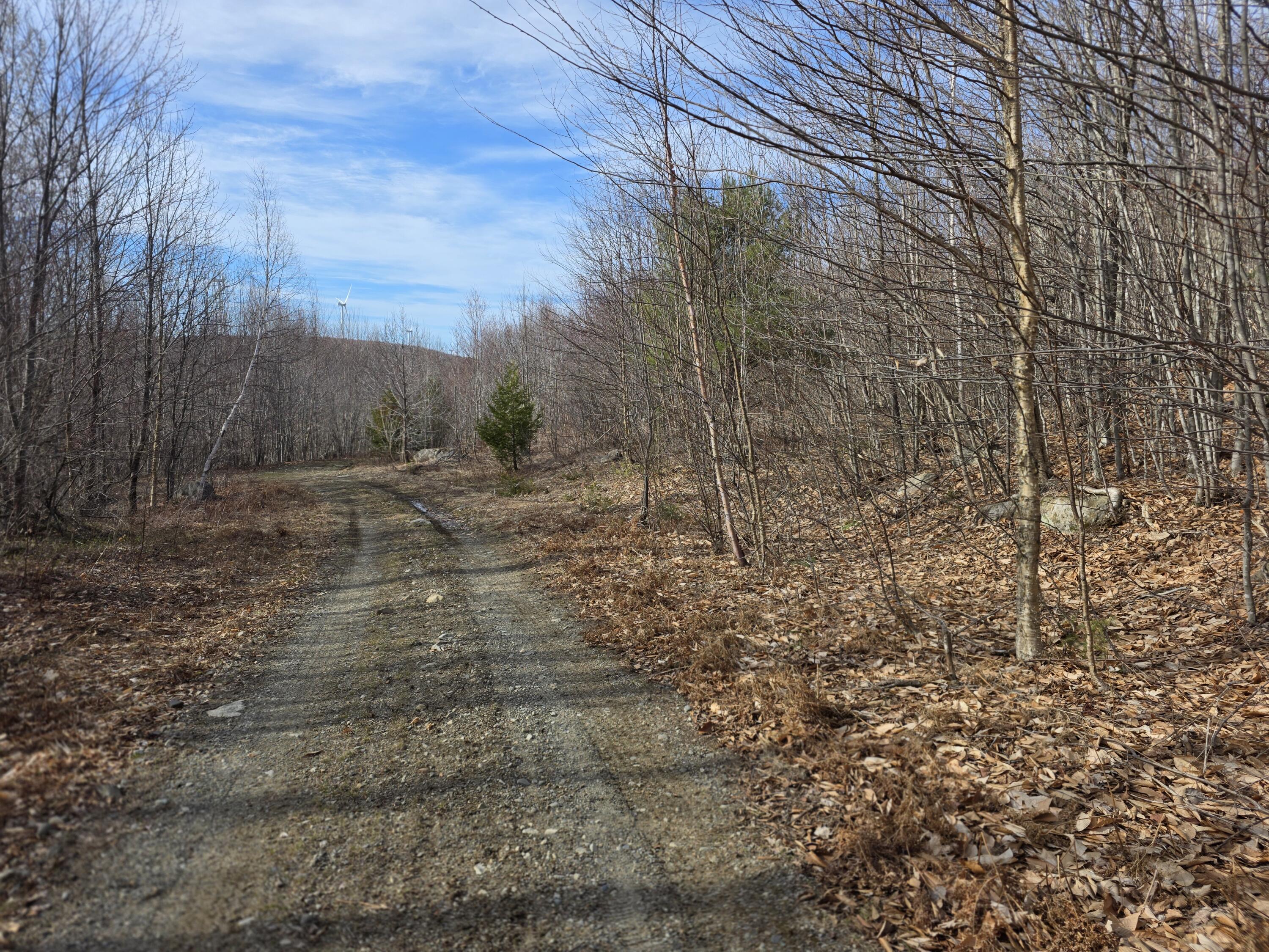L 10 Moose Ridge Road, Oakfield, ME, 04763