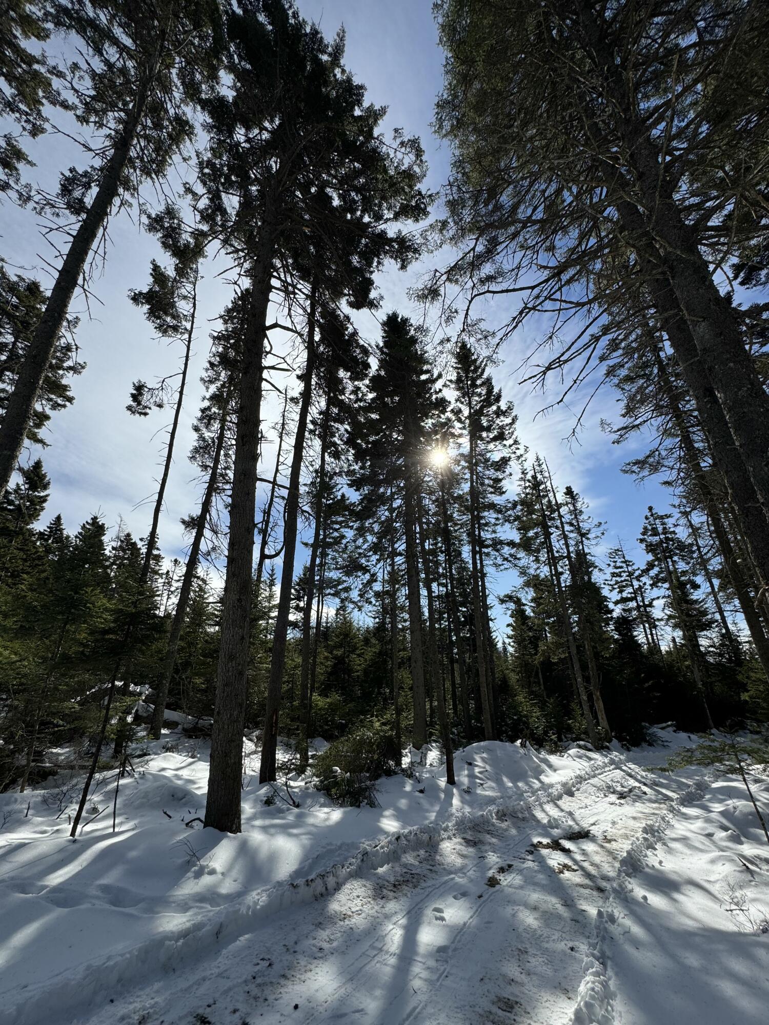 12 Jamestown Road, Vinalhaven, ME, 04863