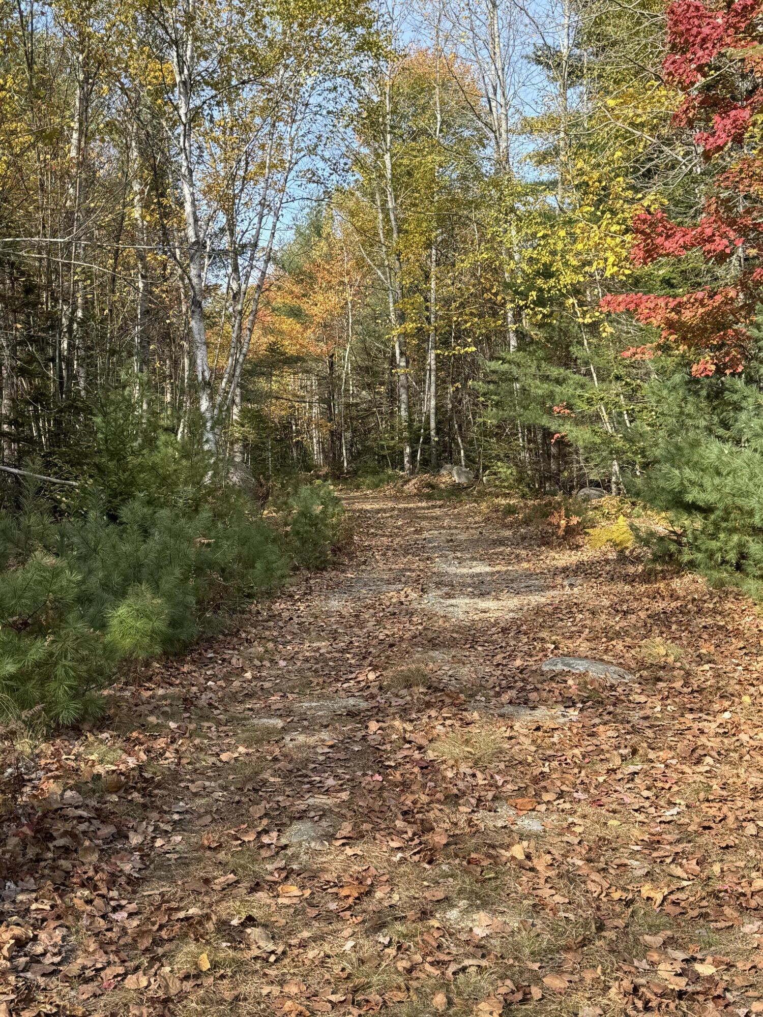 020-078 Blue Hill, Blue Hill, ME, 04614