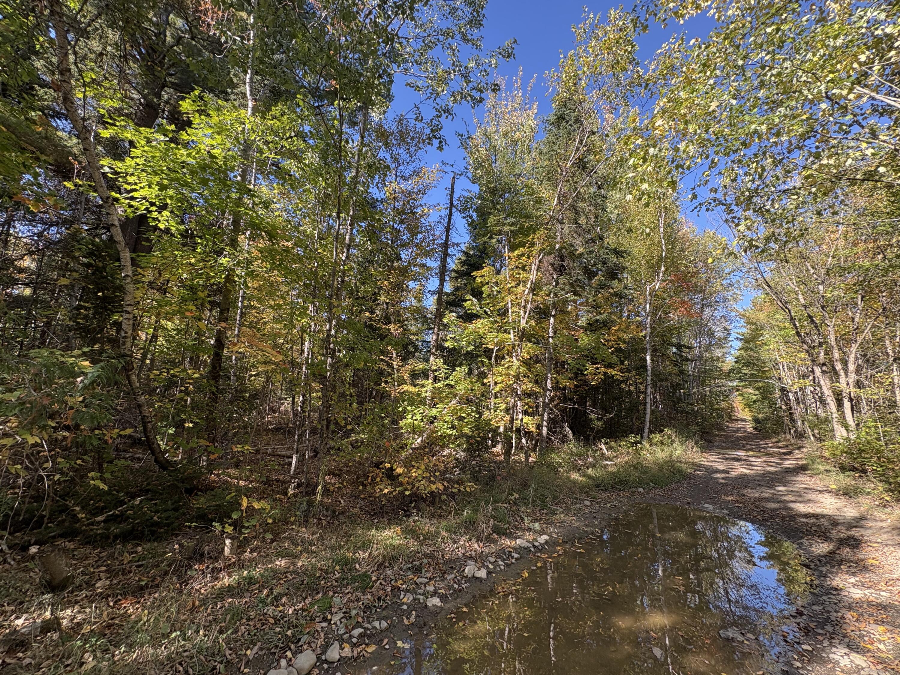 Map1Lot1 Rutland Road, Plymouth, ME, 04969
