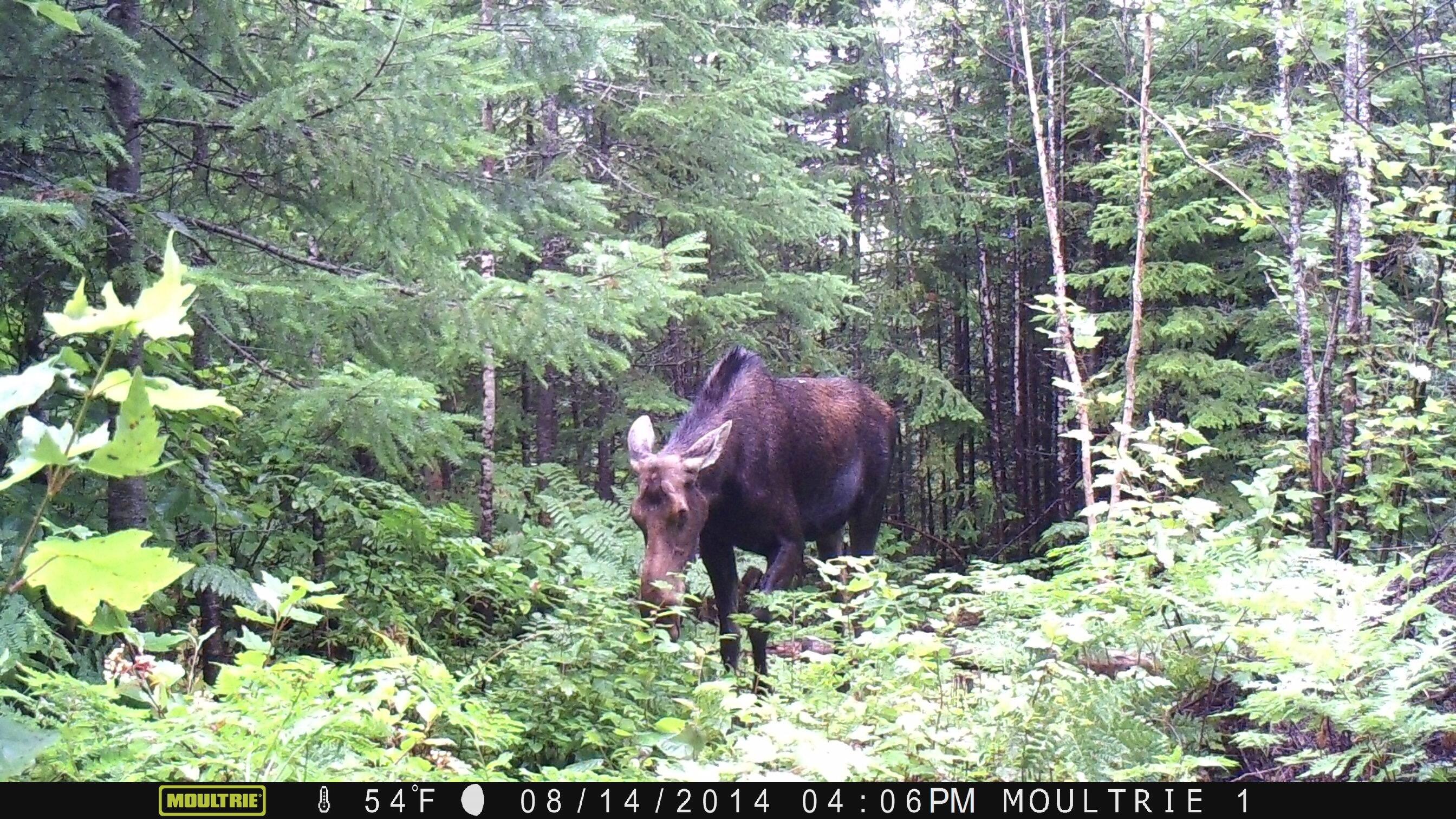 Lot UNIT&nbsp;3 Pleine Road, Saint Agatha, ME, 04772